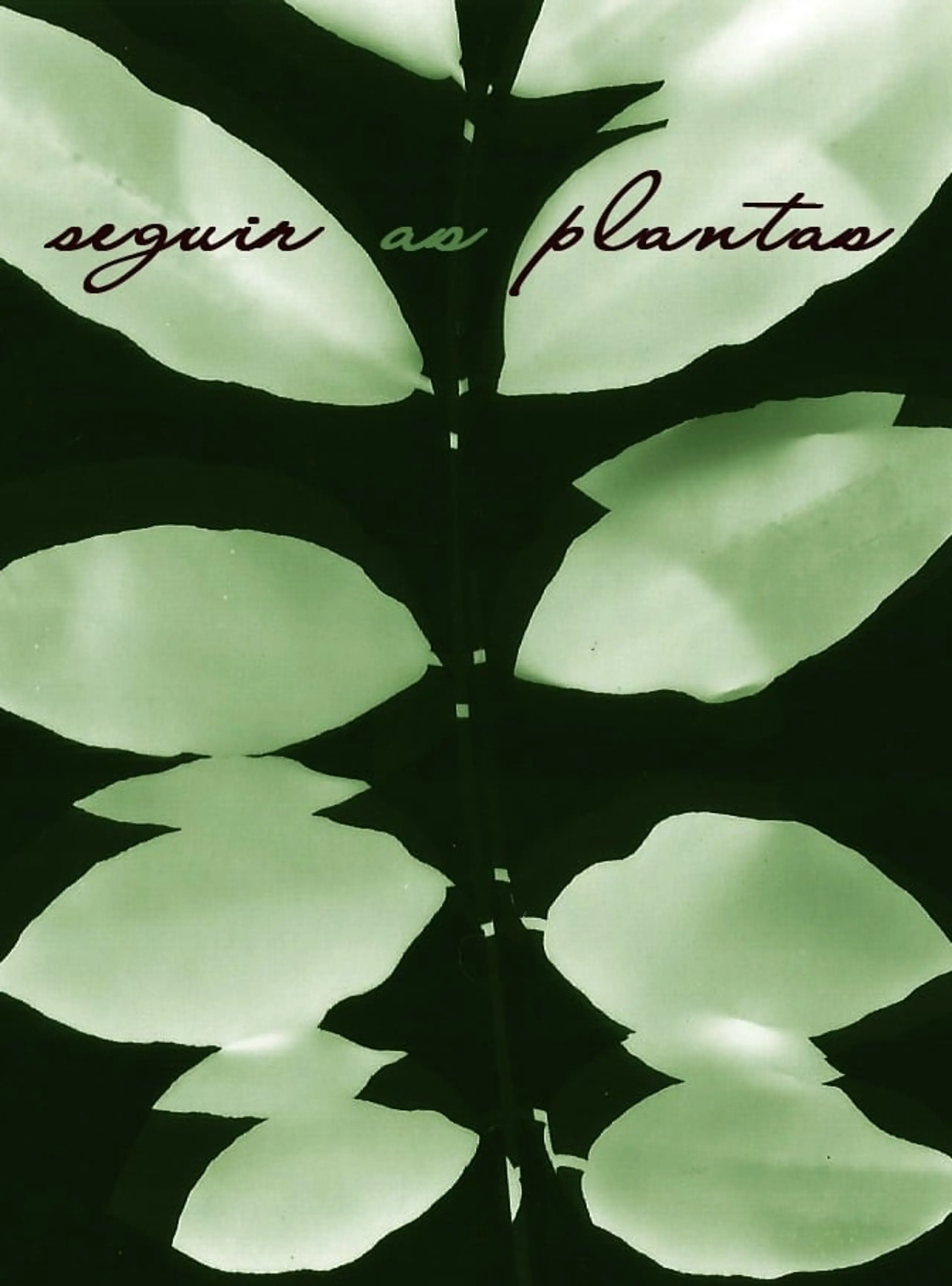 Seguir as Plantas