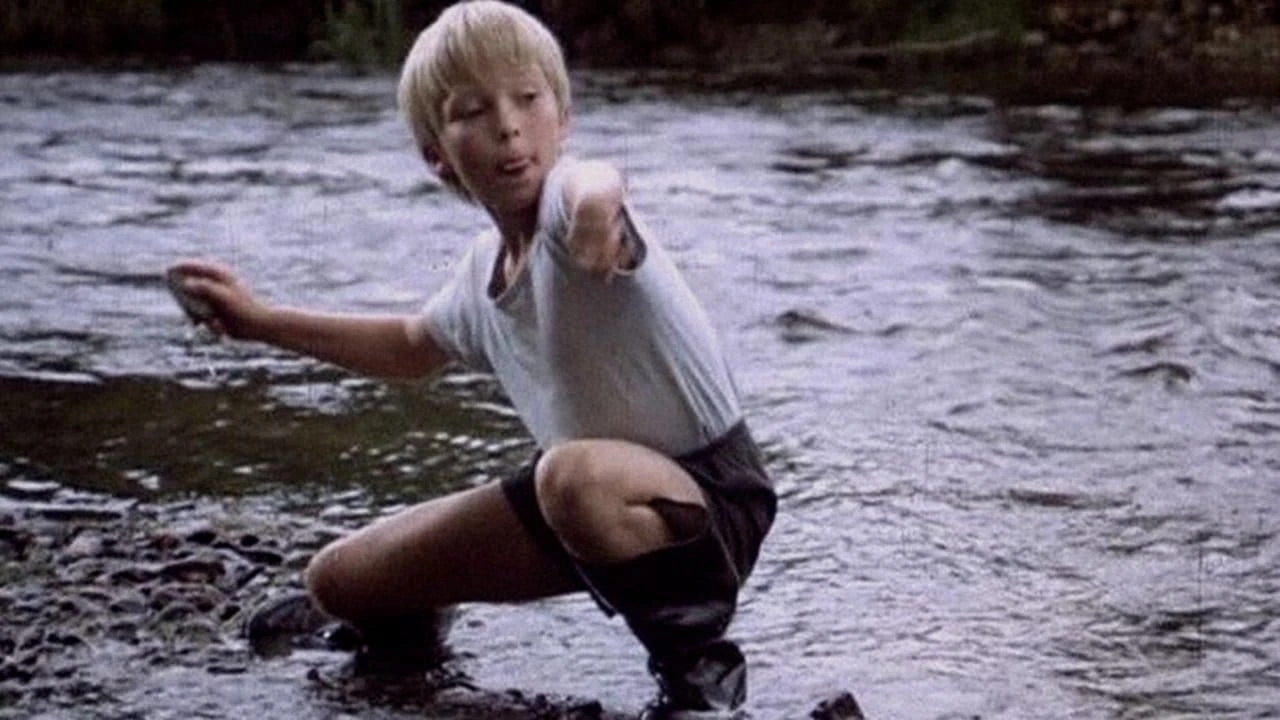 Divoký koník Ryn