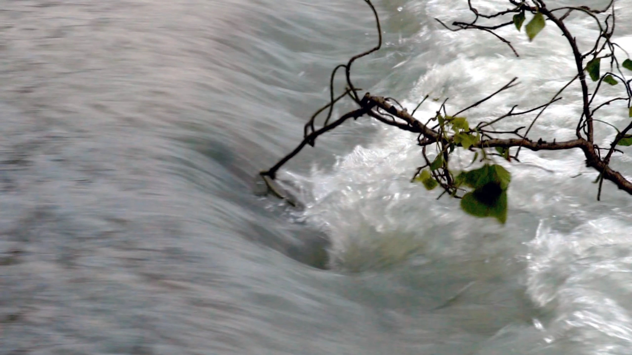 Il fiume, a ritroso