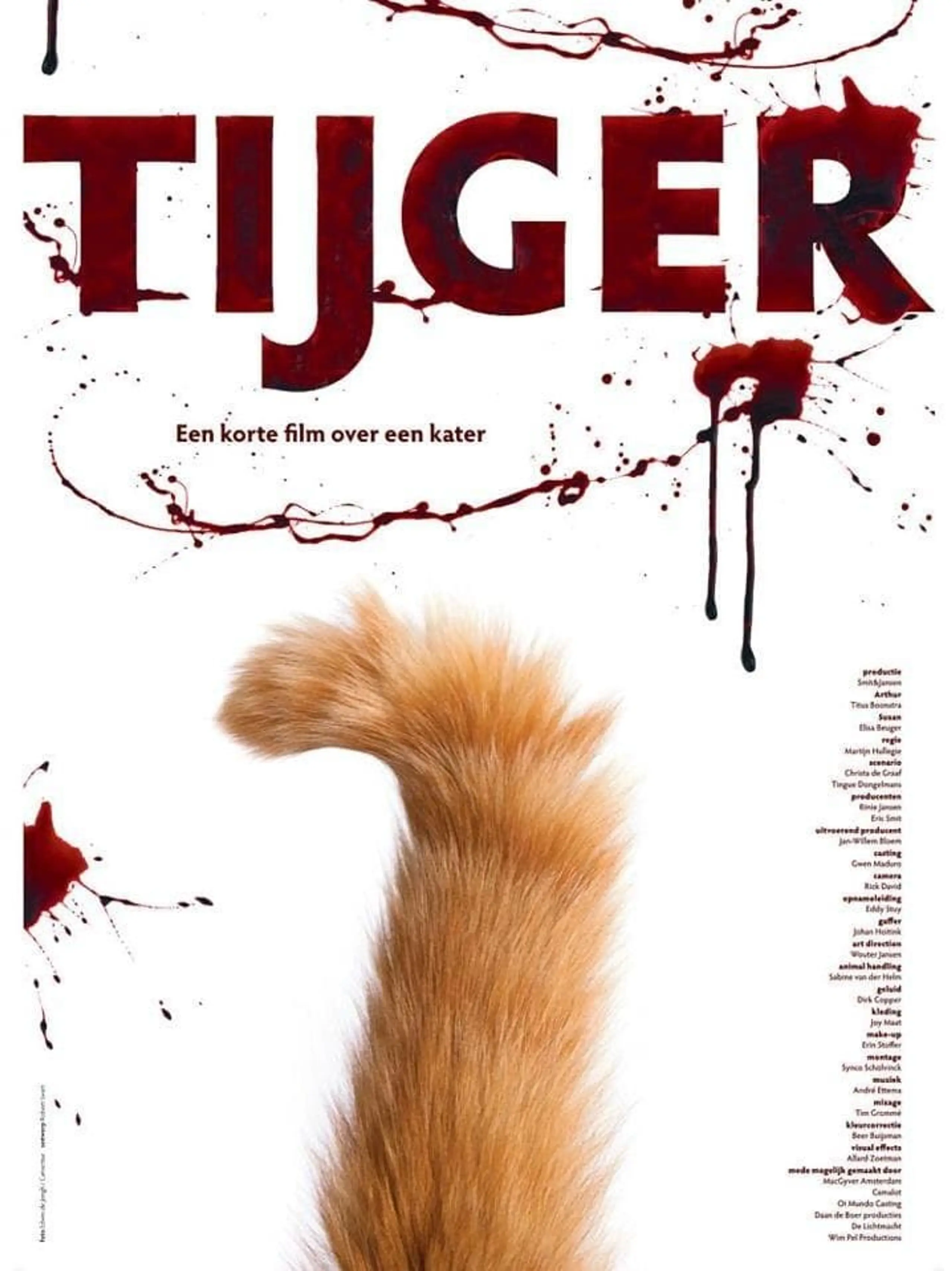 Tijger