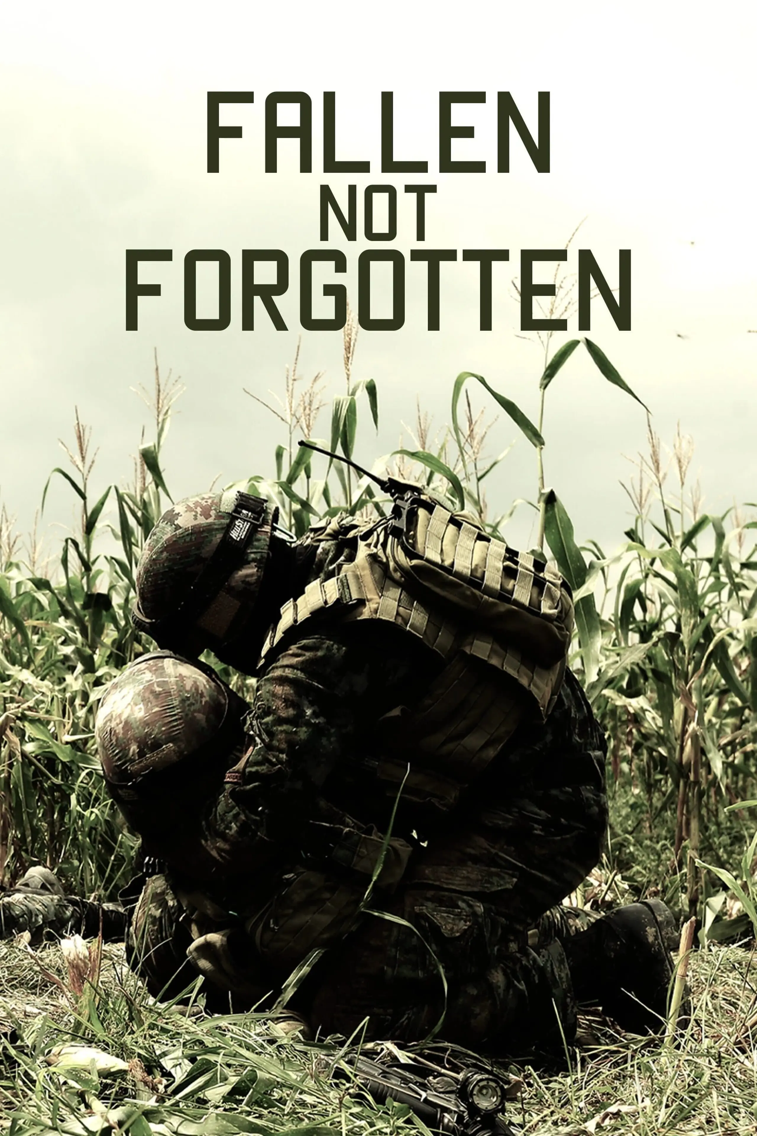 Fallen Not Forgotten