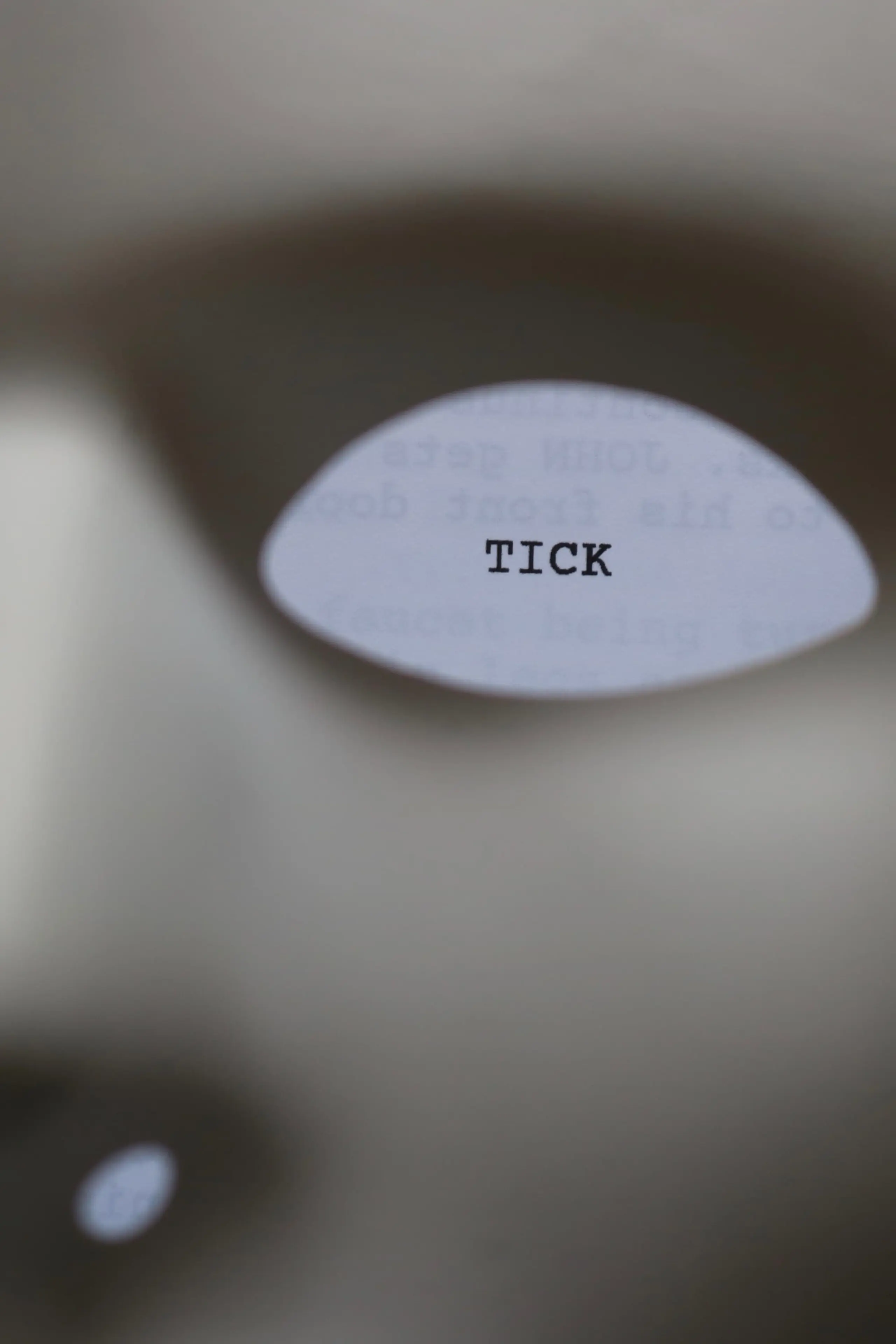 Tick