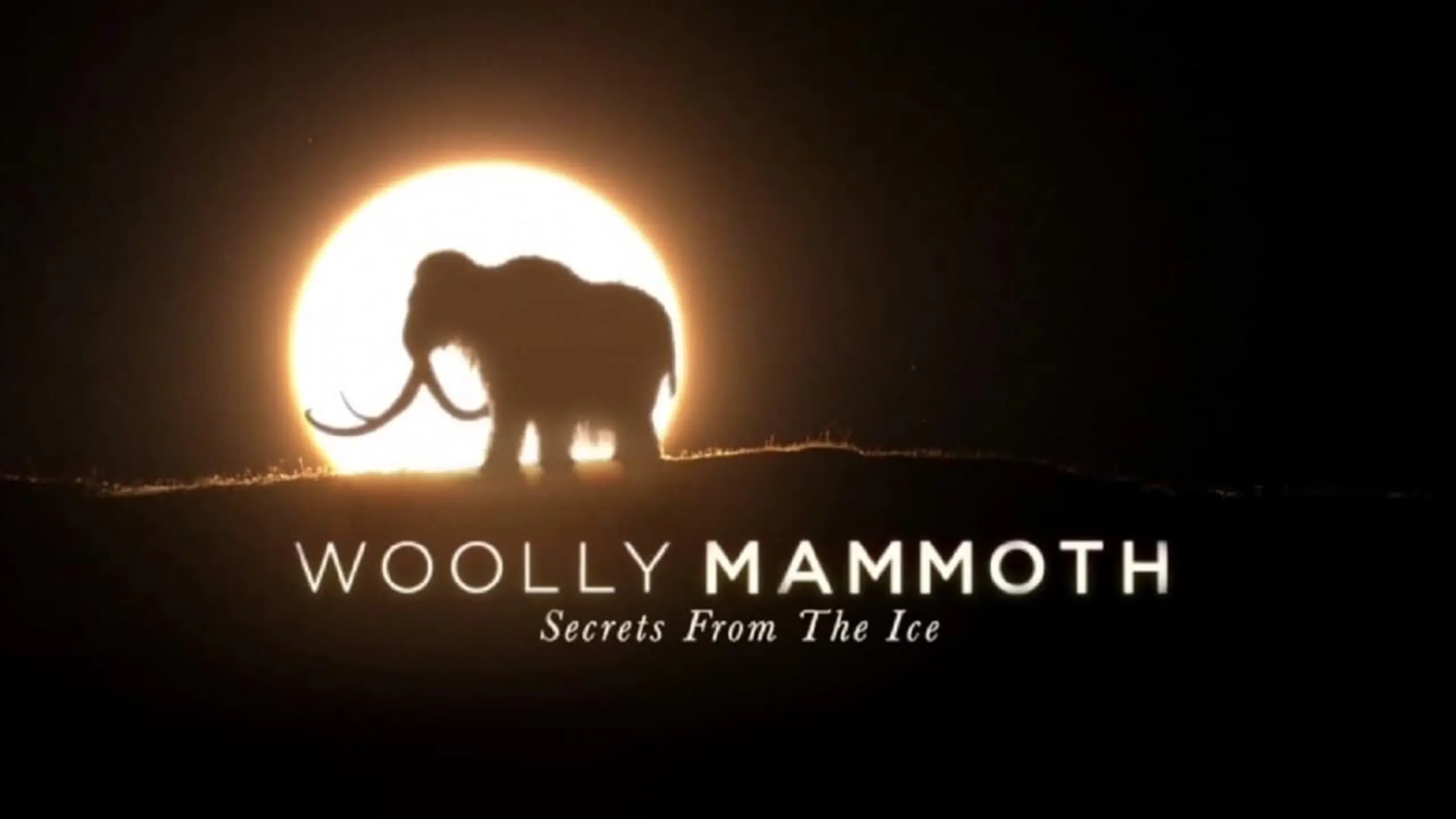 Woolly Mammoth: Secrets From The Ice