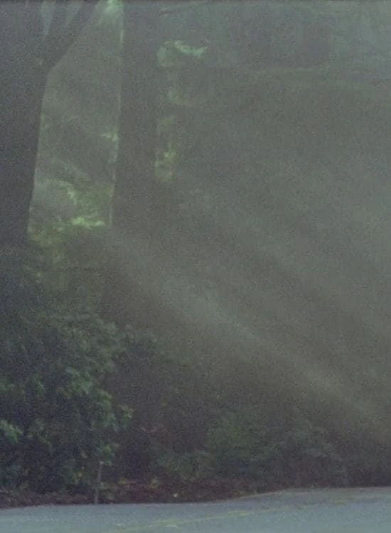 California Picture Book