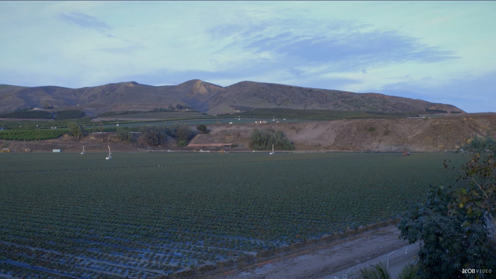 Canción del Campo