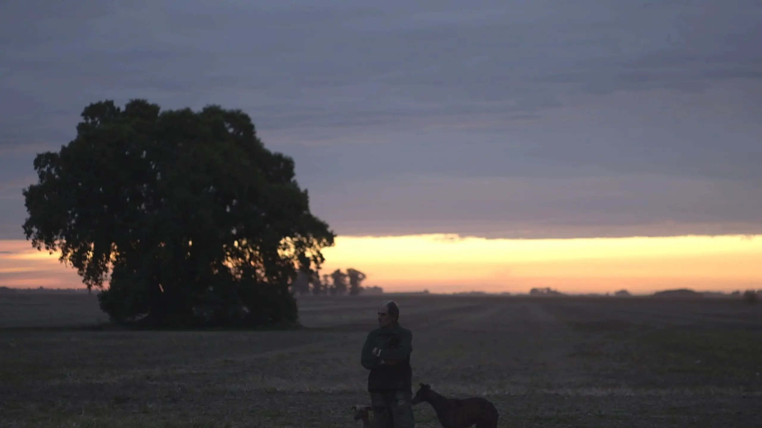 Man on the Plain