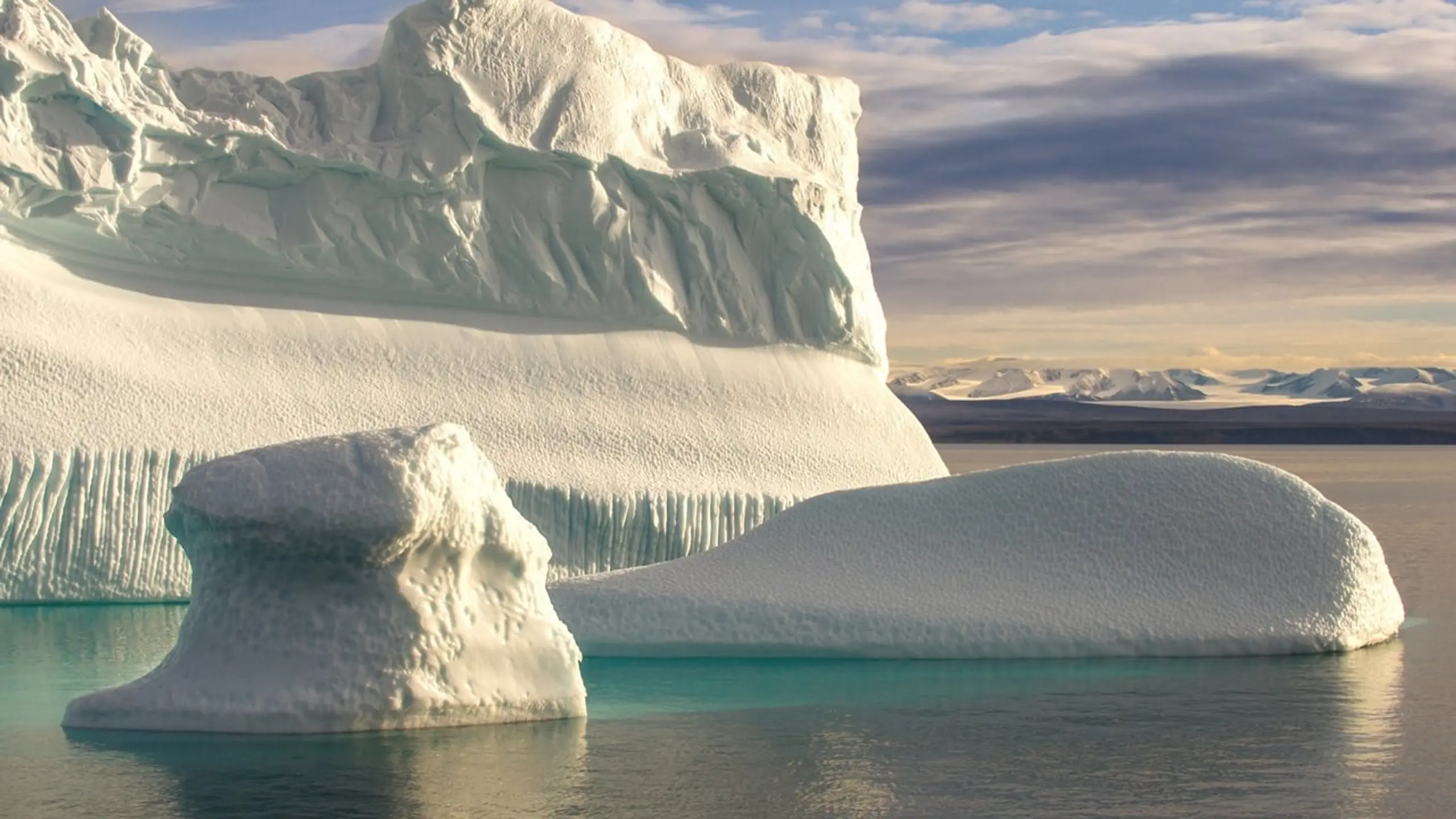 Dans les Glaces de l’Arctique