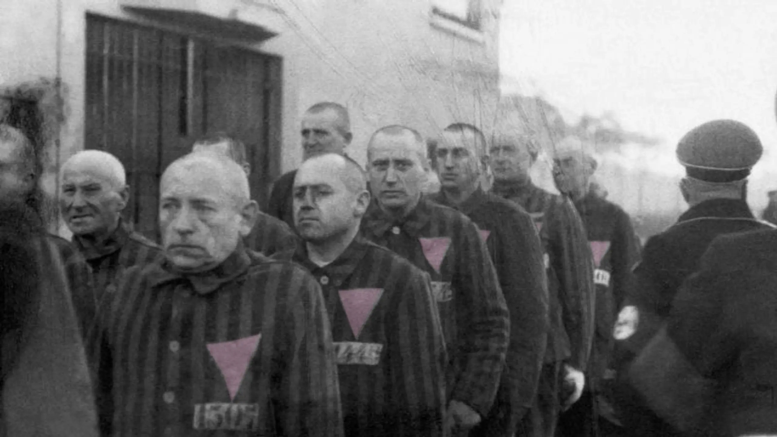 El Triángulo Rosa y la cura Nazi para la Homosexualidad