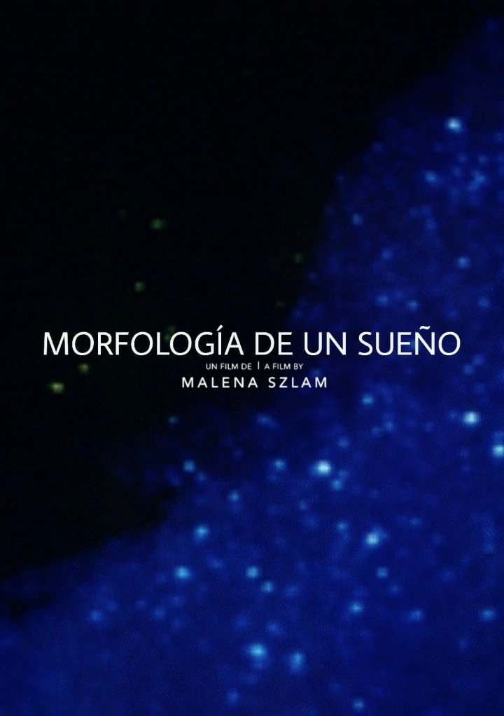 Morphology of a Dream