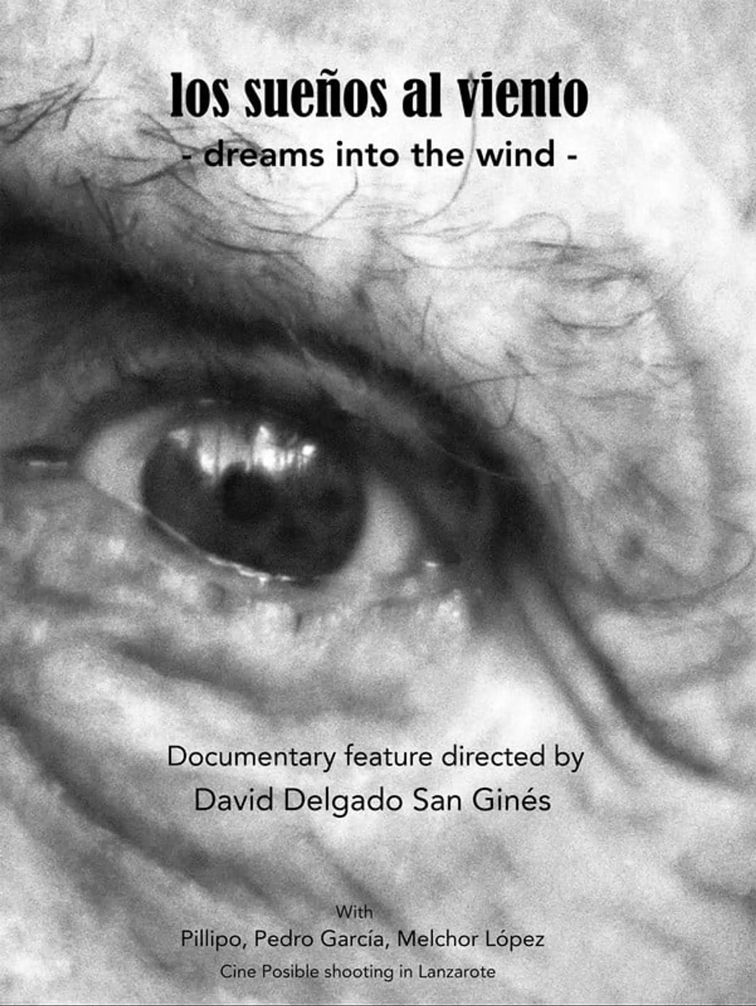 Dreams into the wind