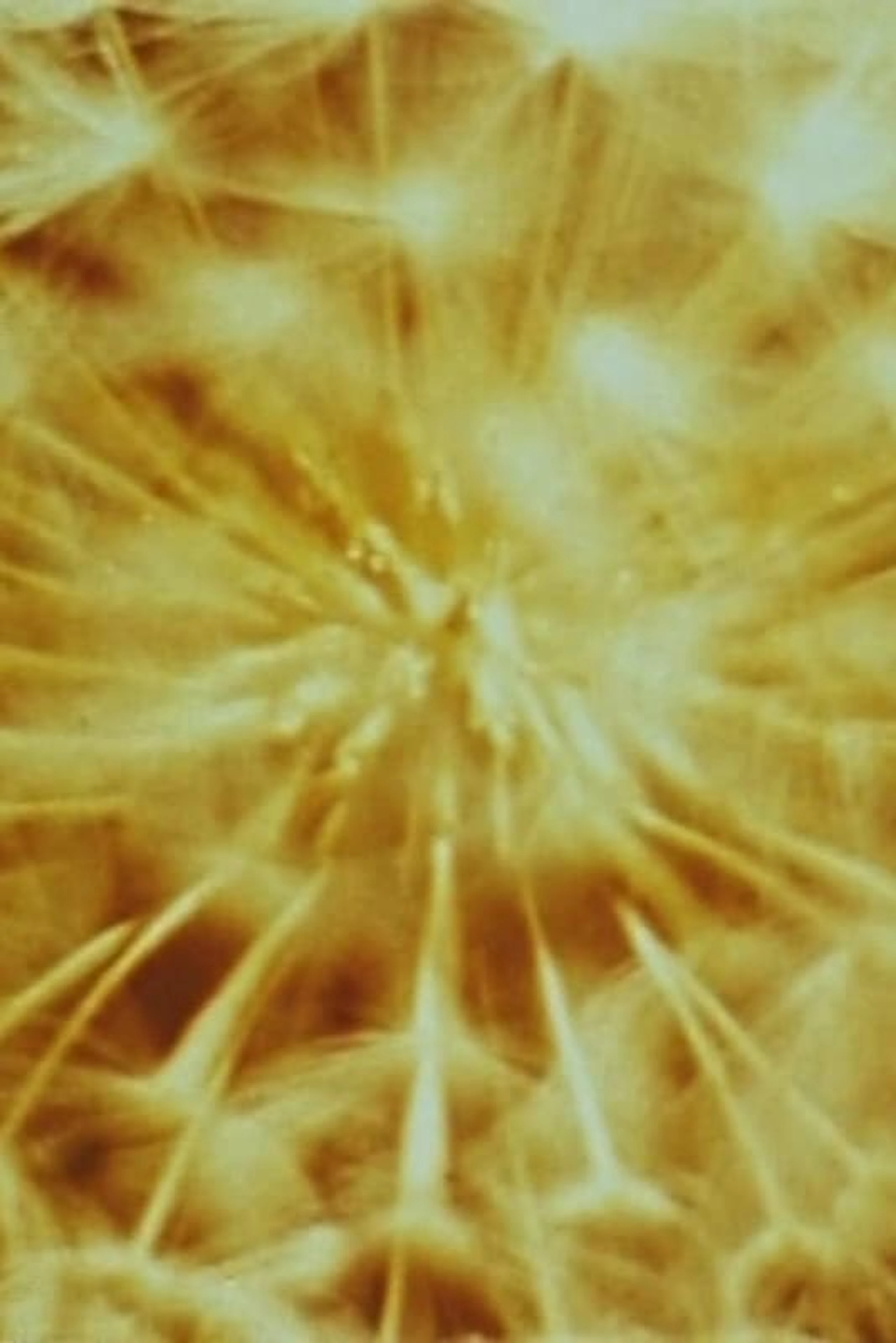 A Study in Natural Magic