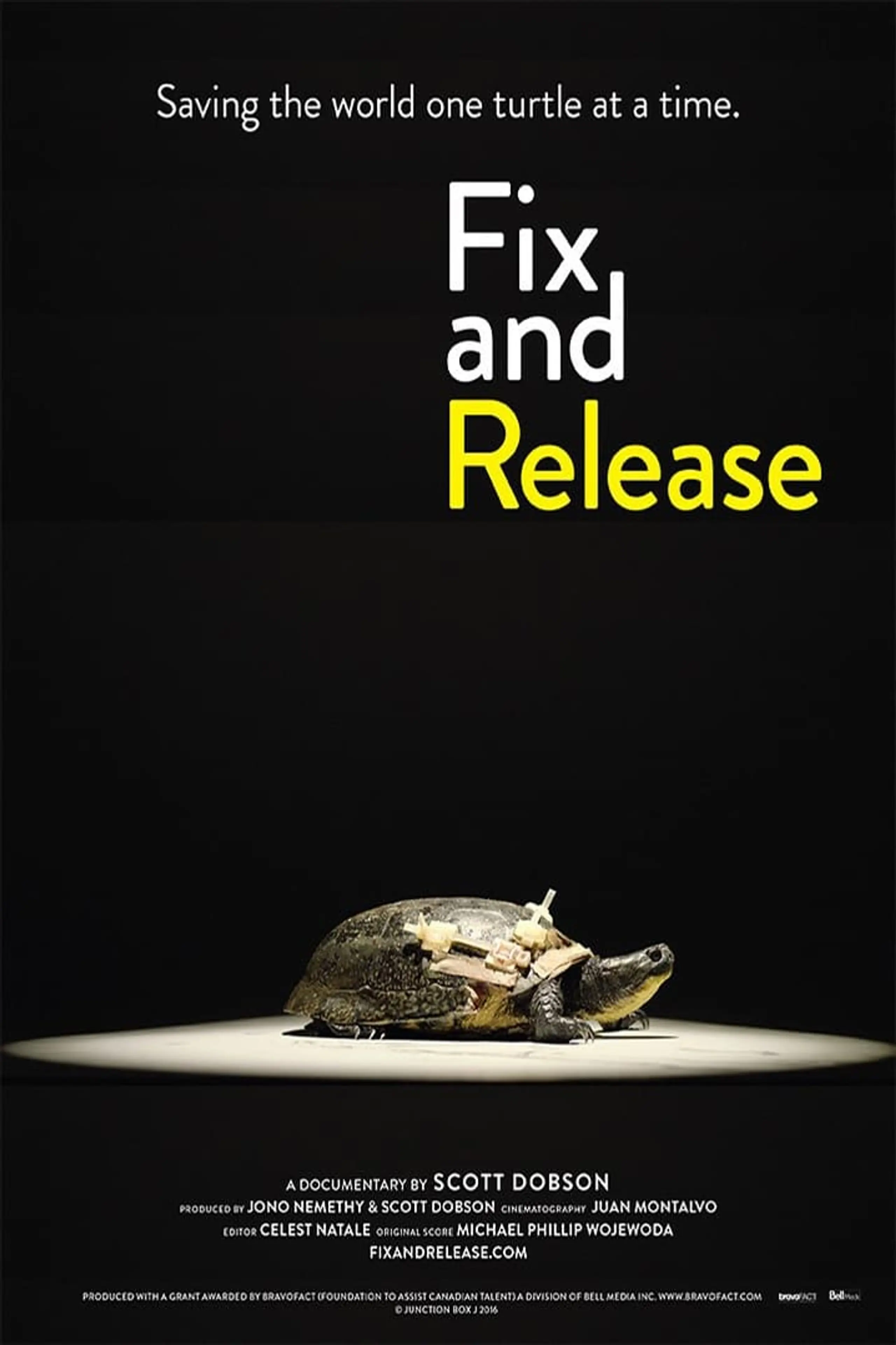 Fix and Release