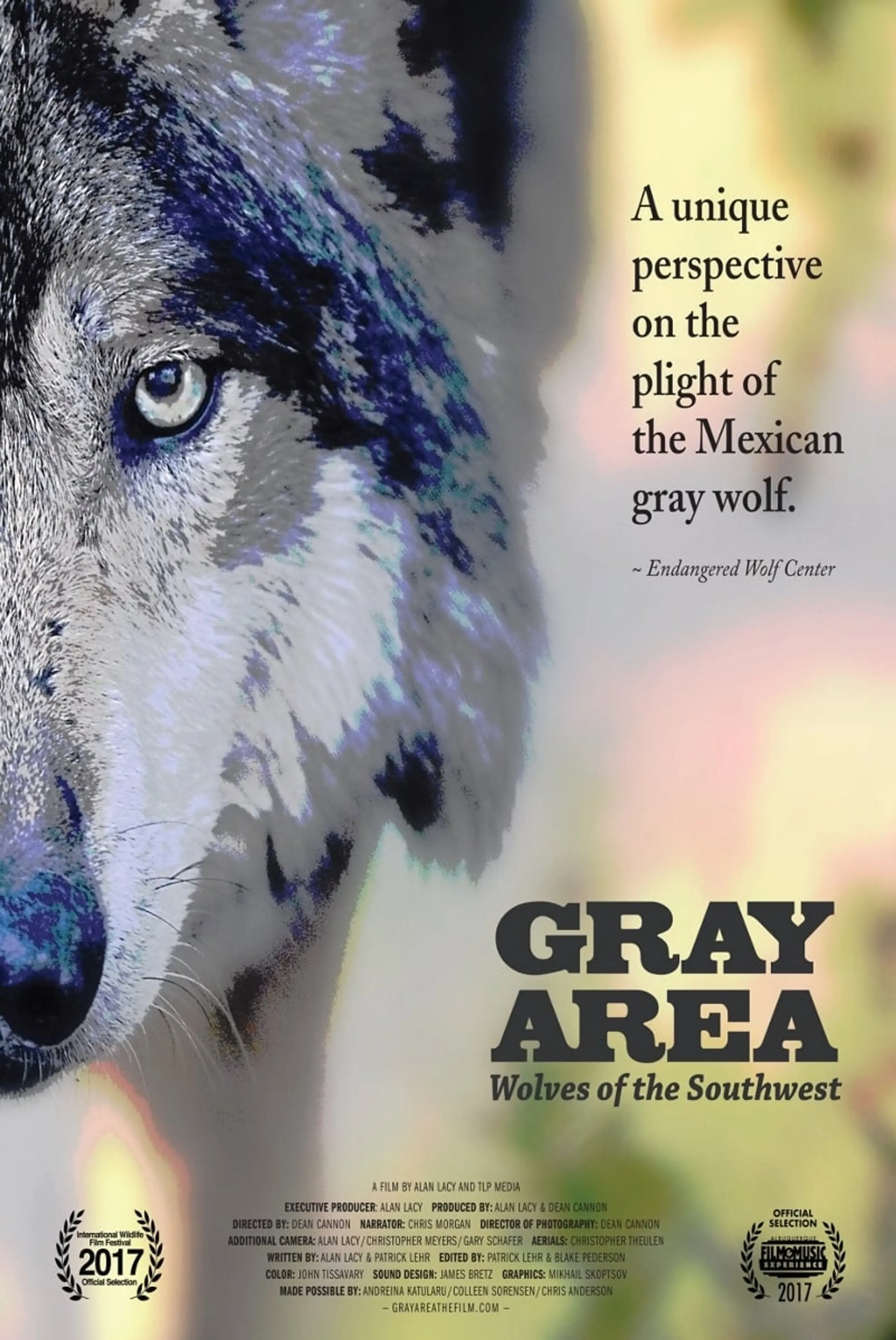 The Gray Area: Wolves of the Southwest