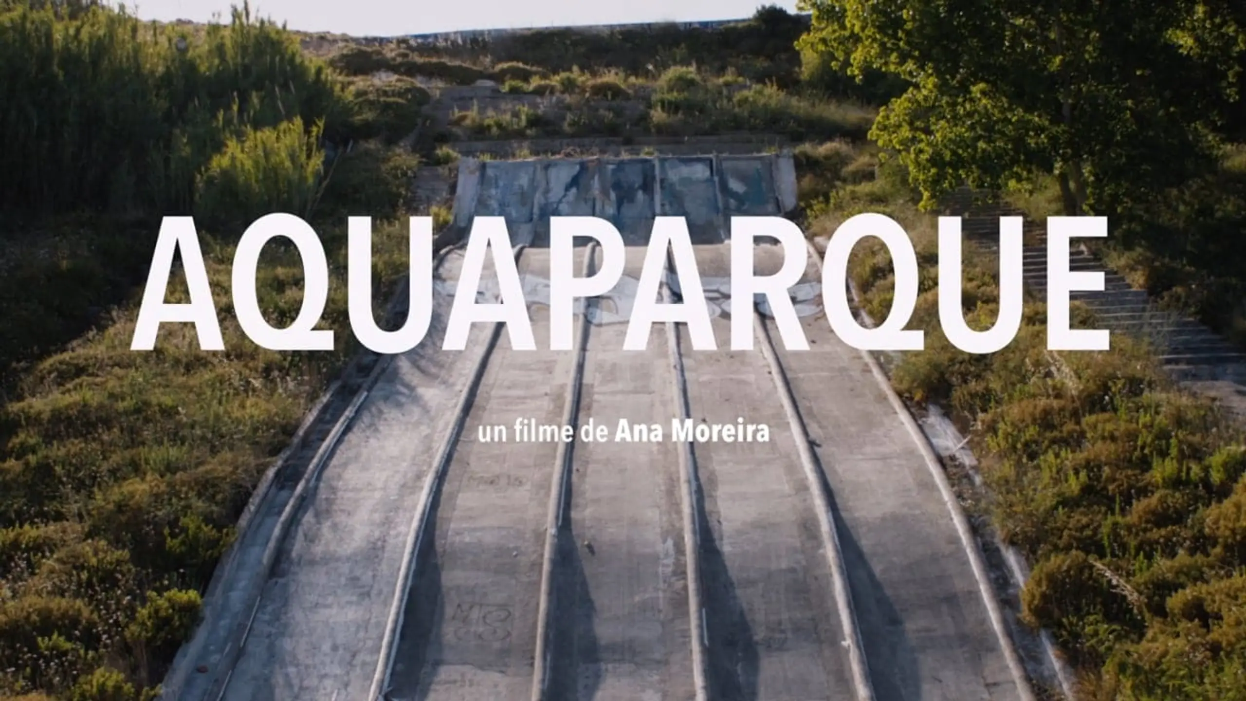 Aquaparque