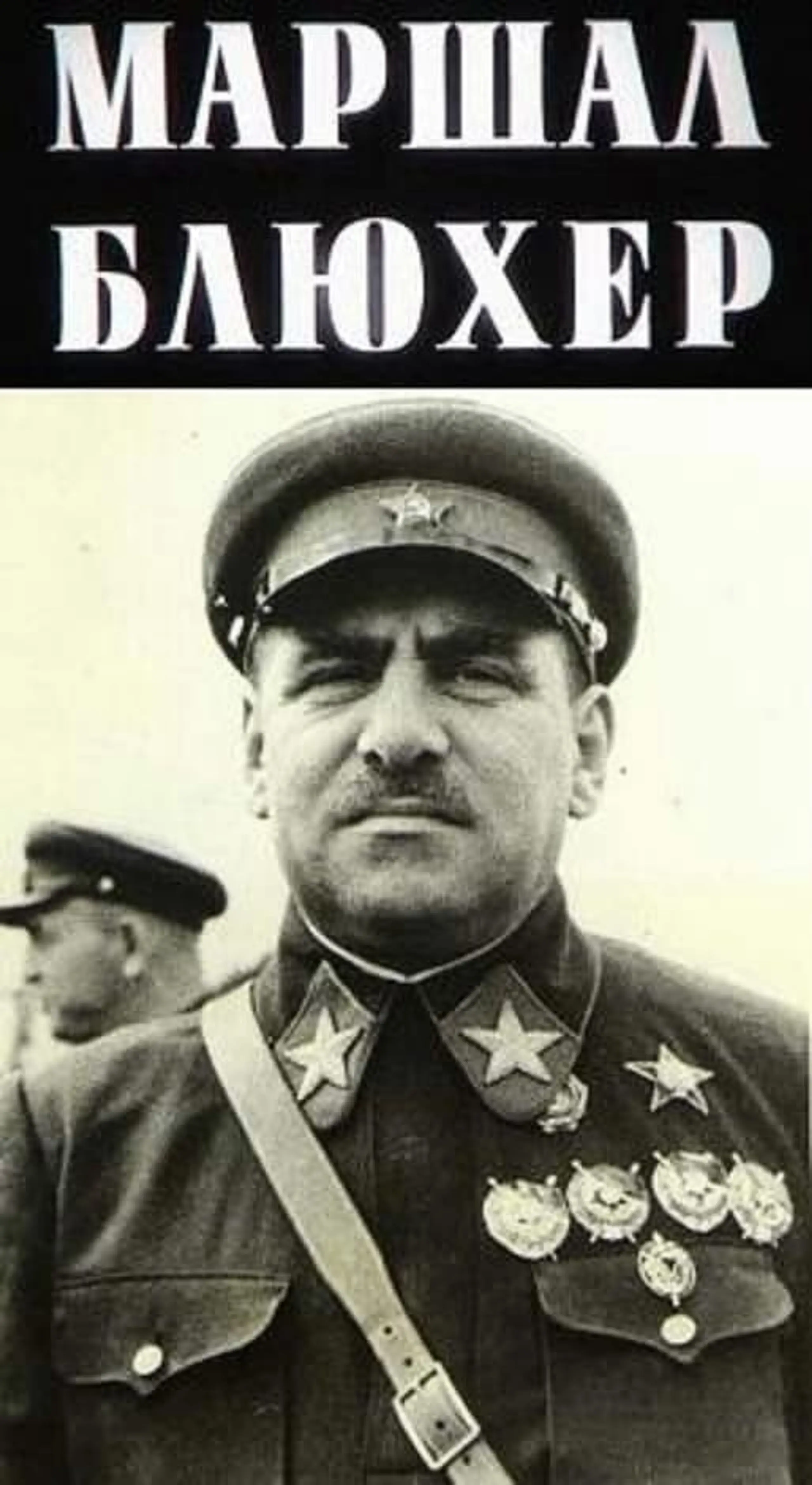 Marshal Blucher: Portret na fone epohi