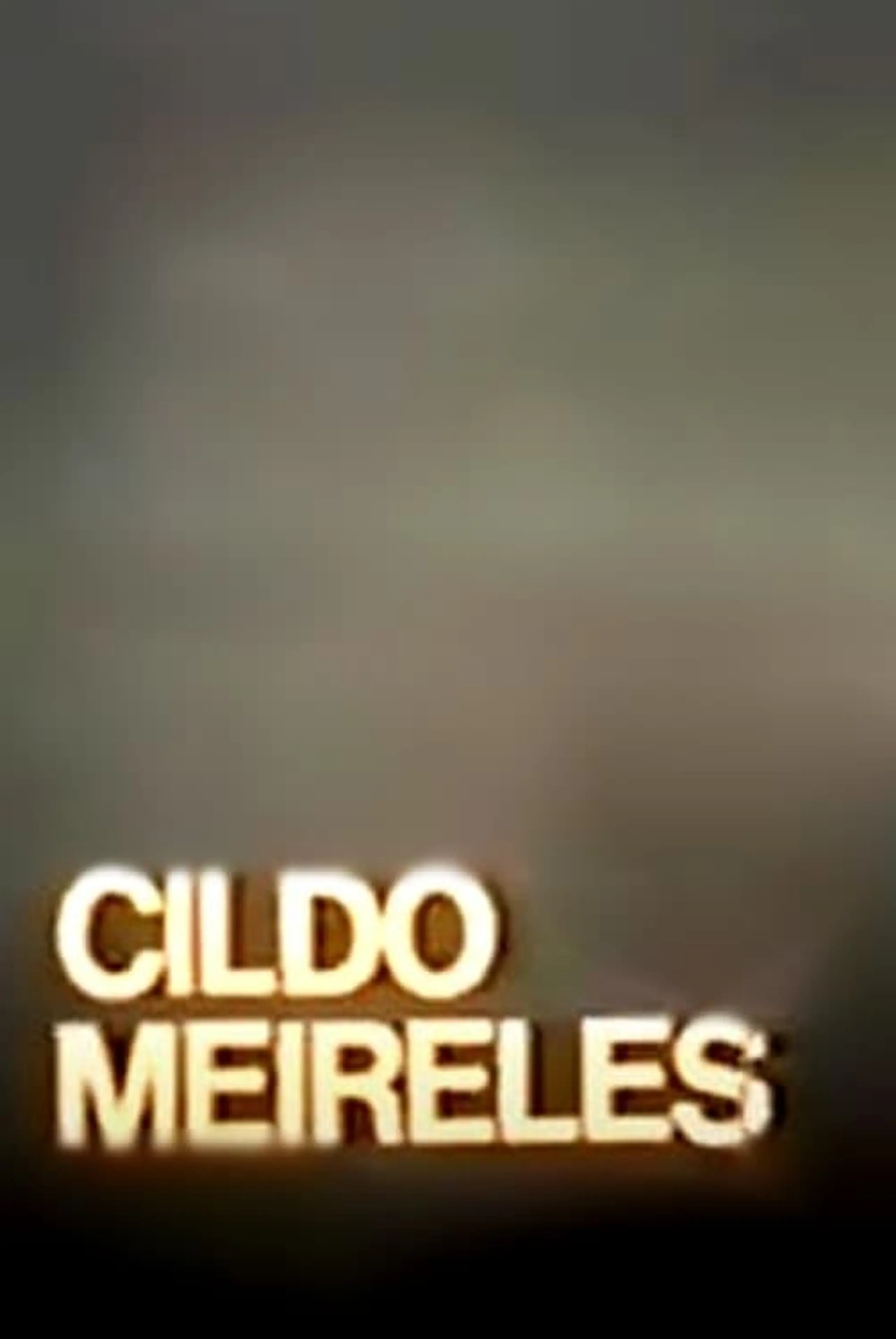 Cildo Meireles