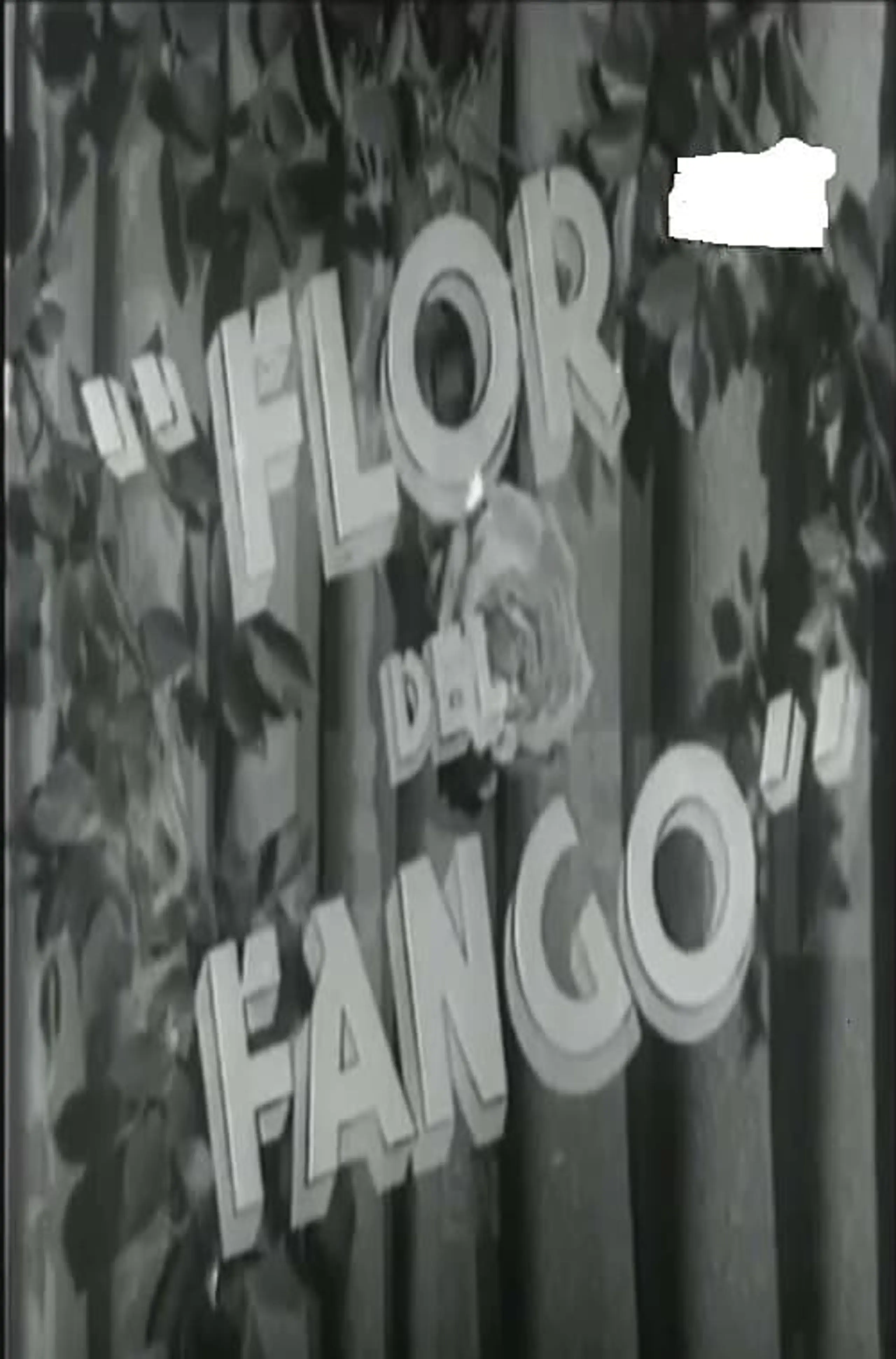 Flor de fango