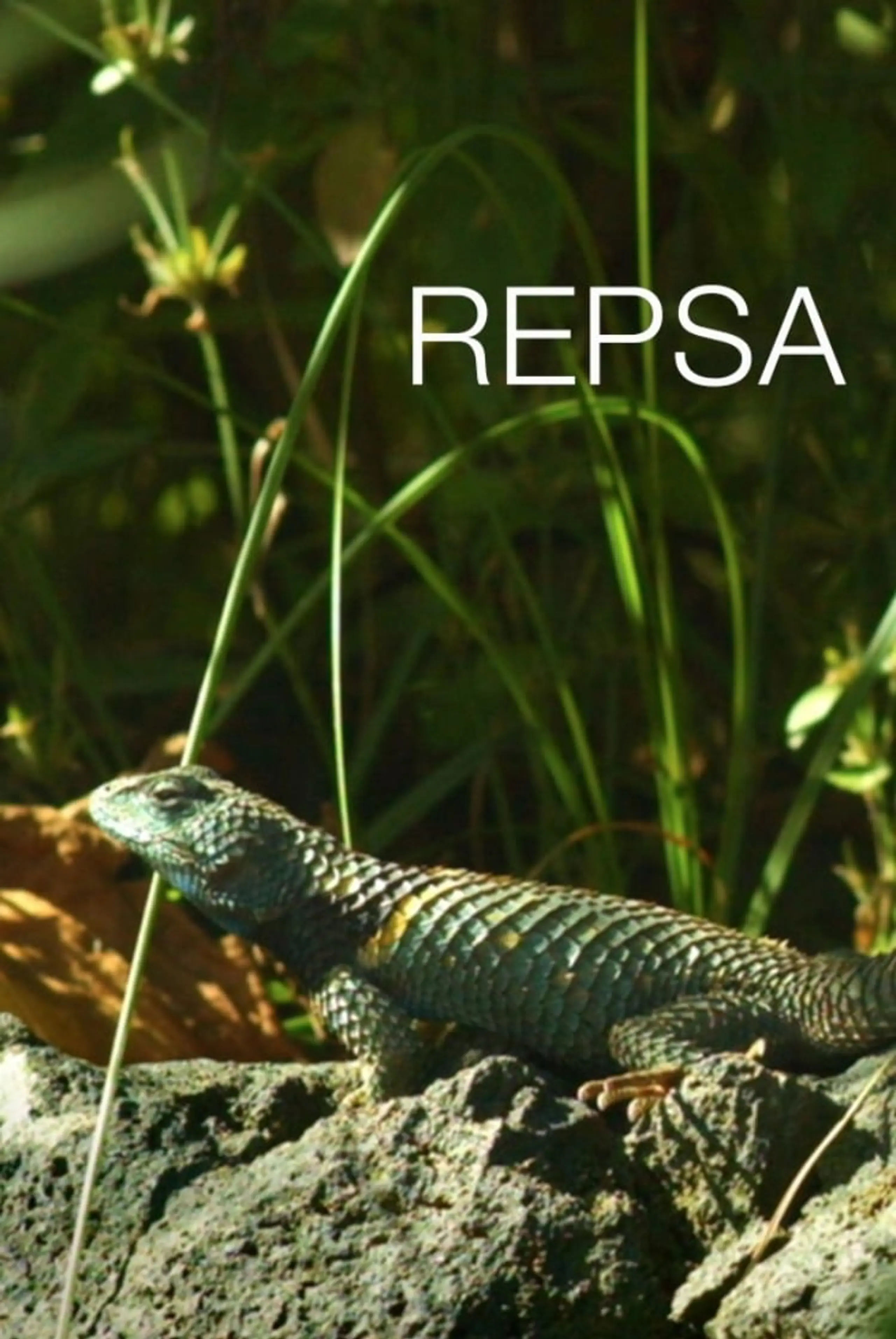 Repsa