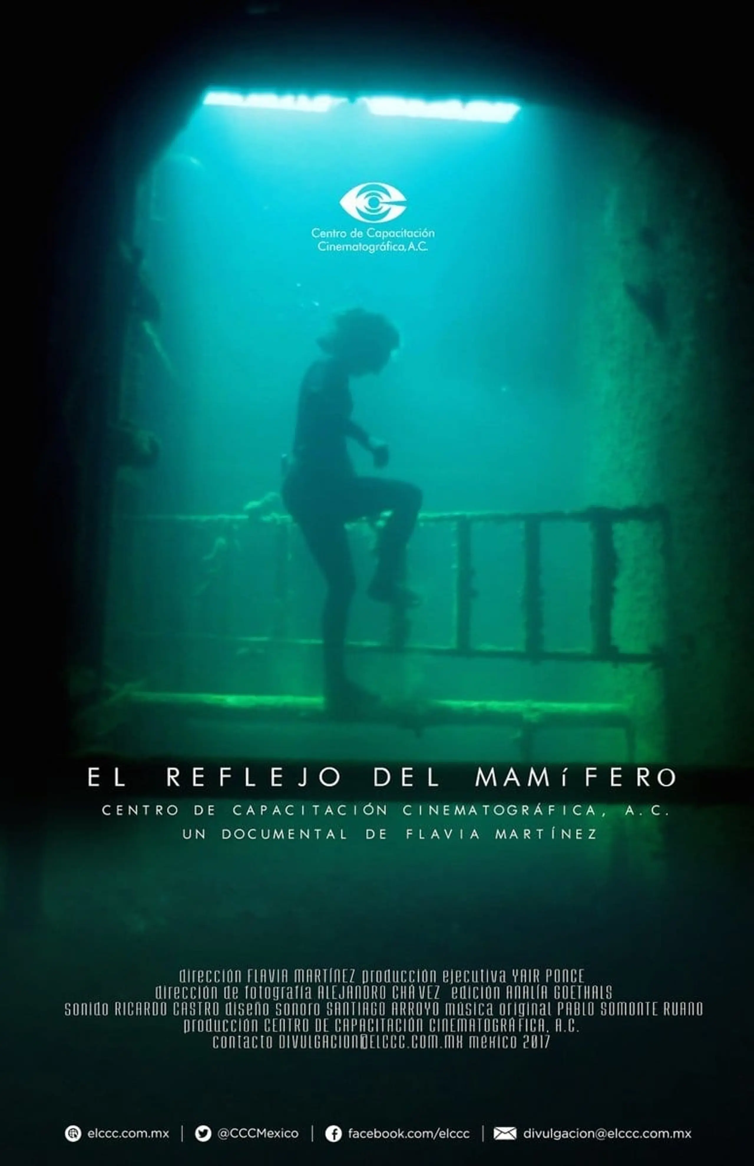 El reflejo del mamífero