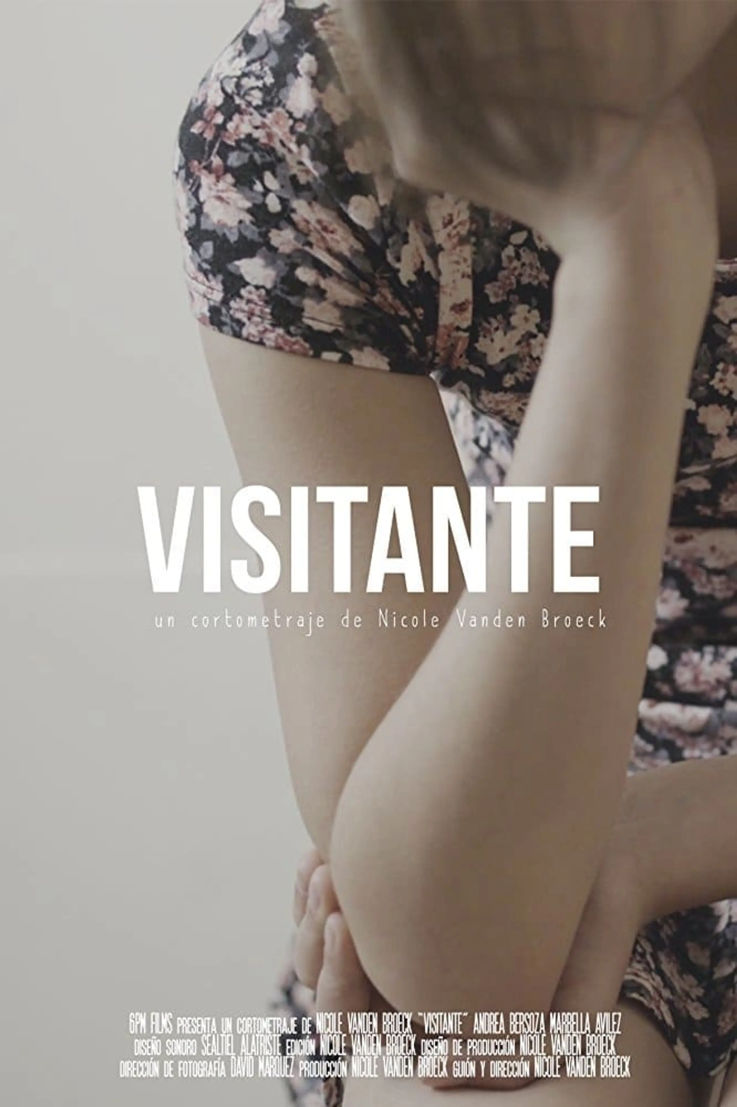 Visitante