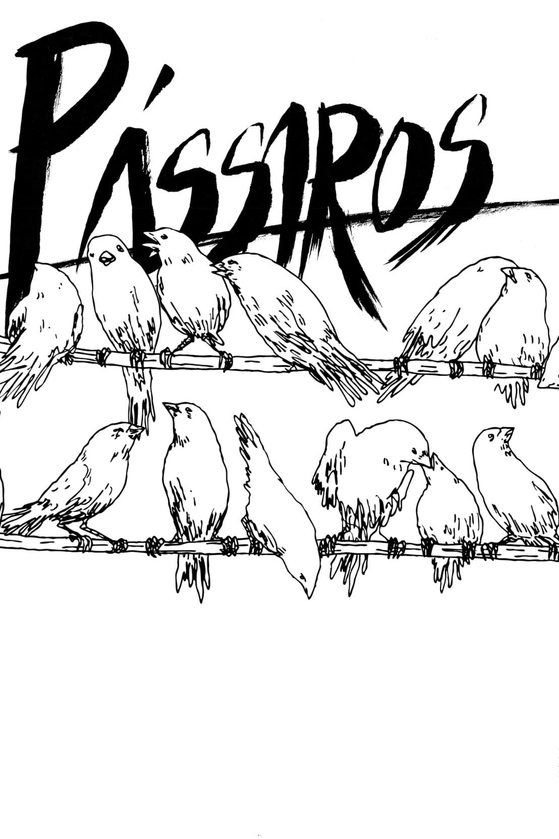 Pássaros