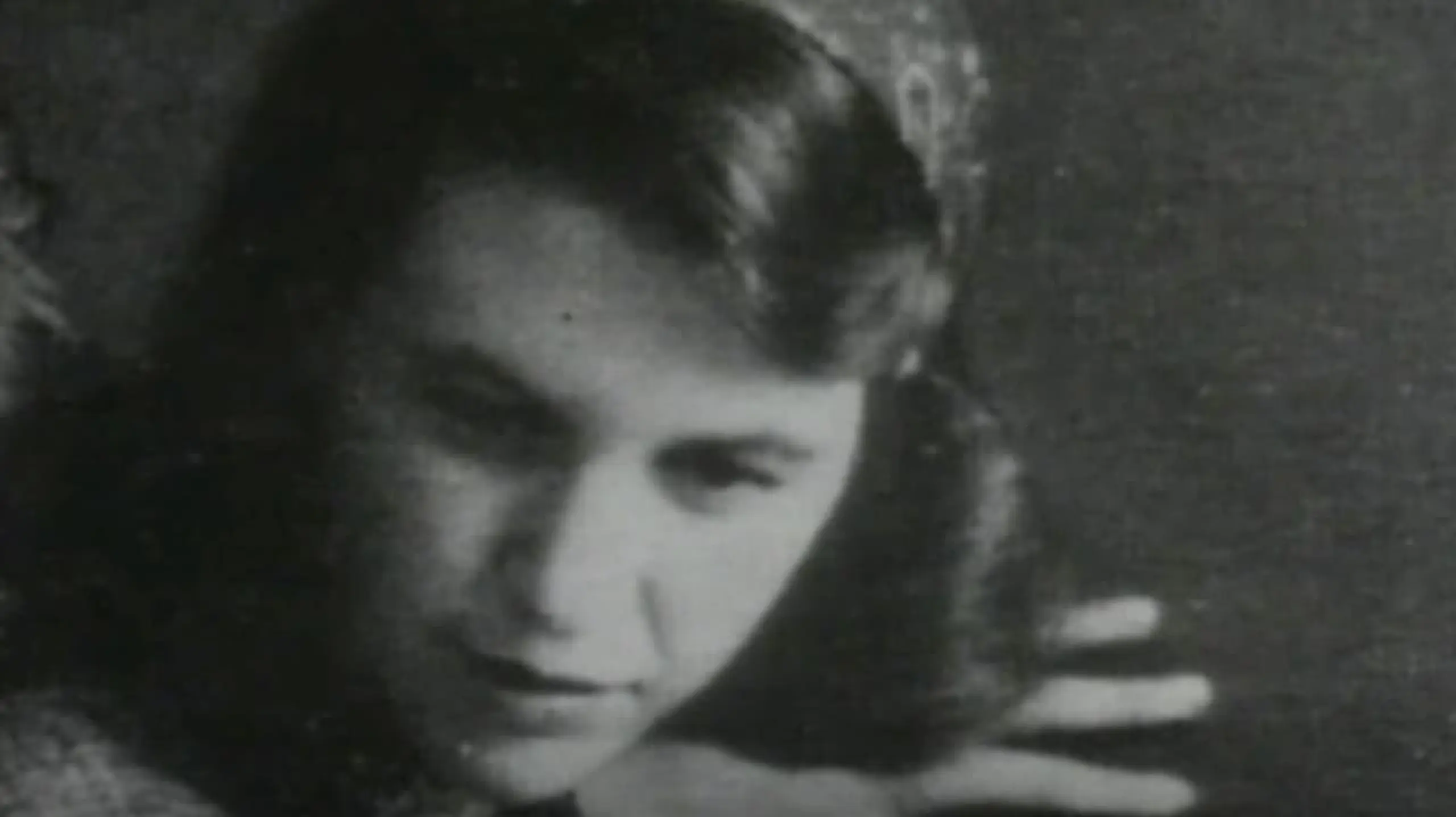 Sylvia Plath: Voices and Visions