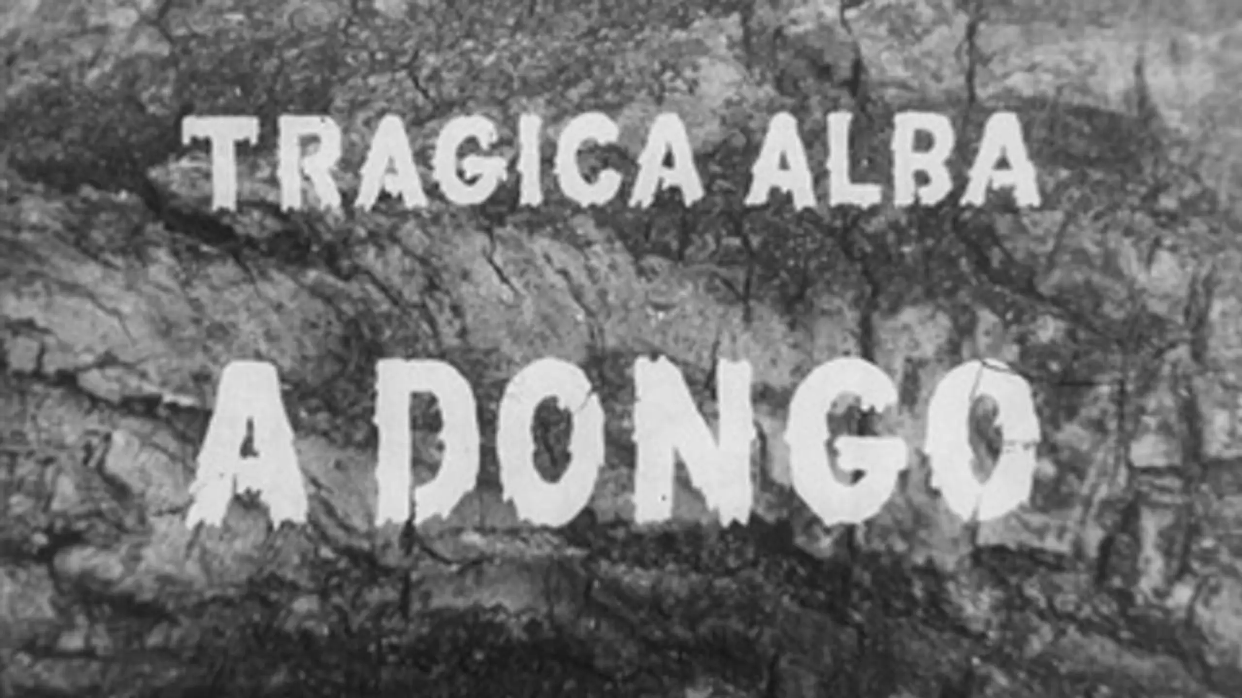 Tragica alba a Dongo