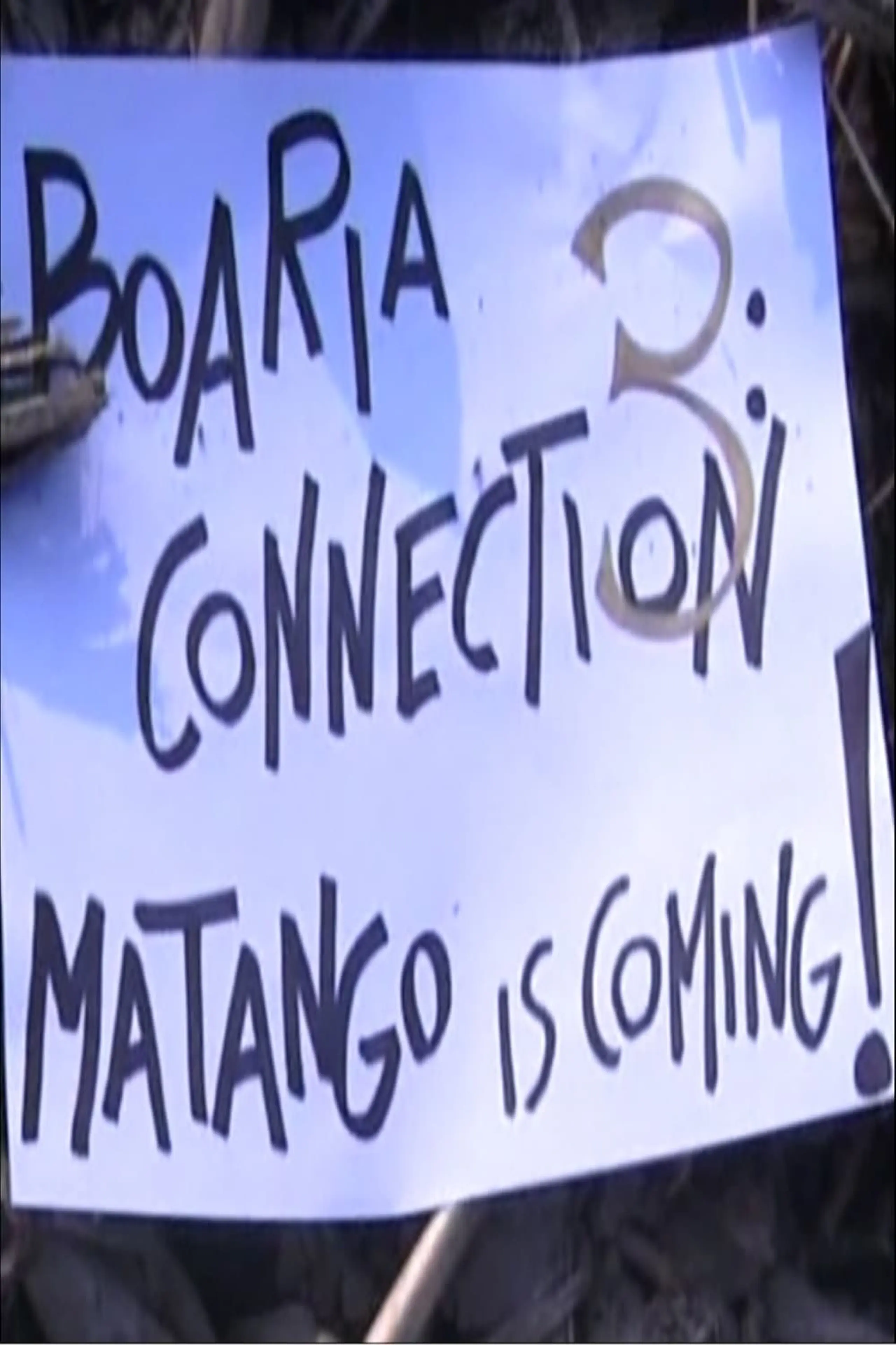 Boaria Connection 3: Matango Is Coming