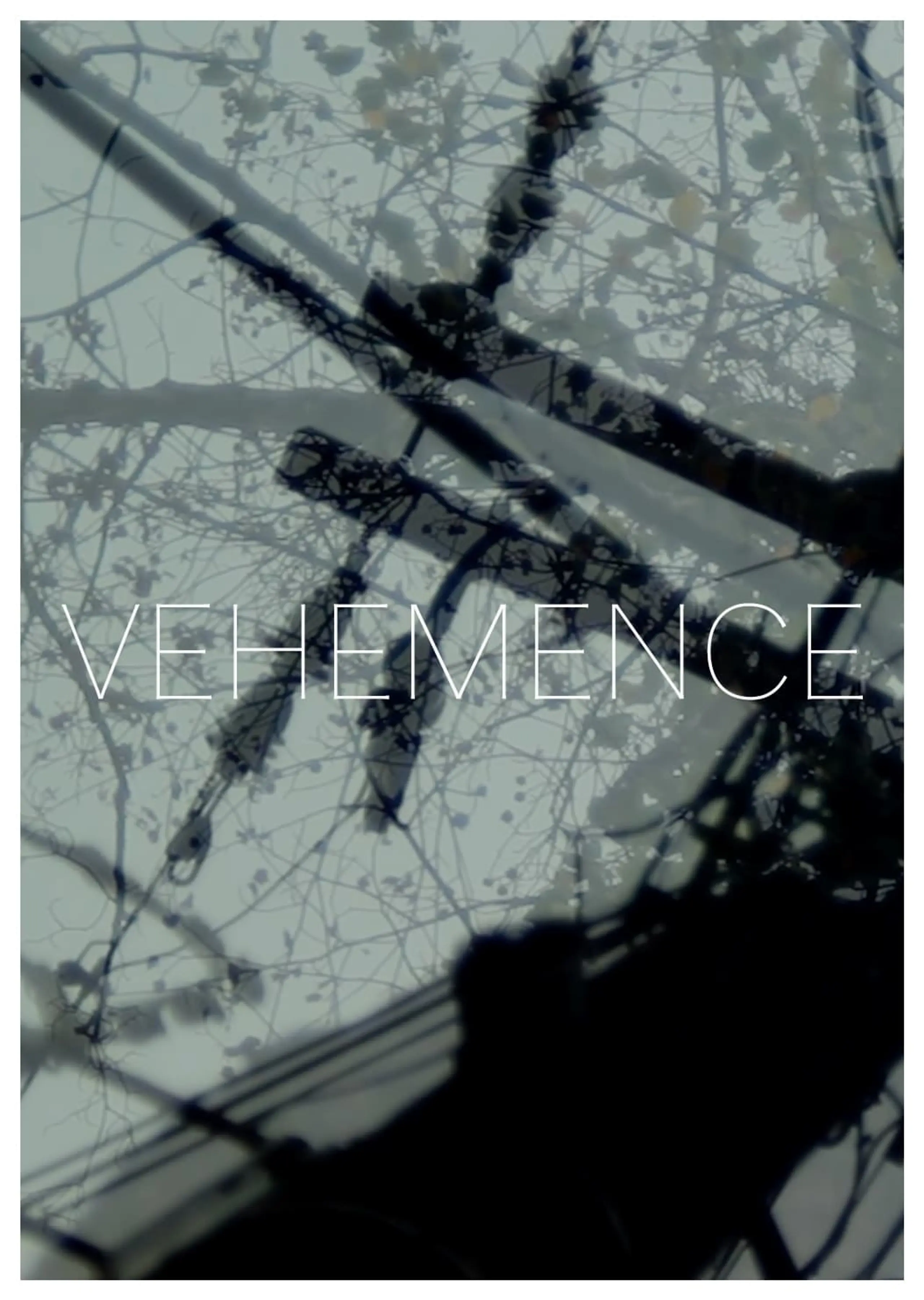 Vehemence