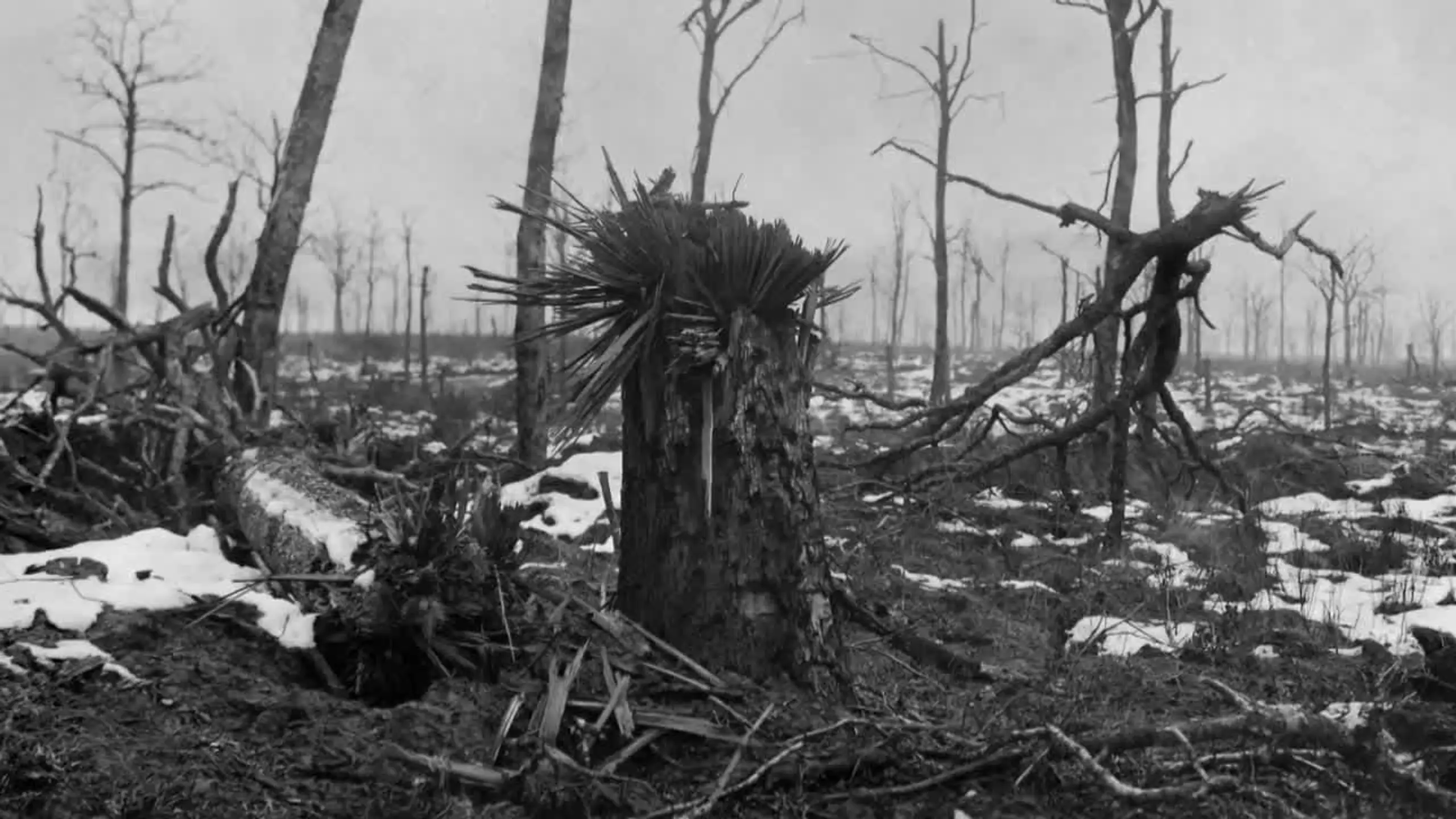 Le rouge et le gris, Ernst Jünger dans la grande guerre