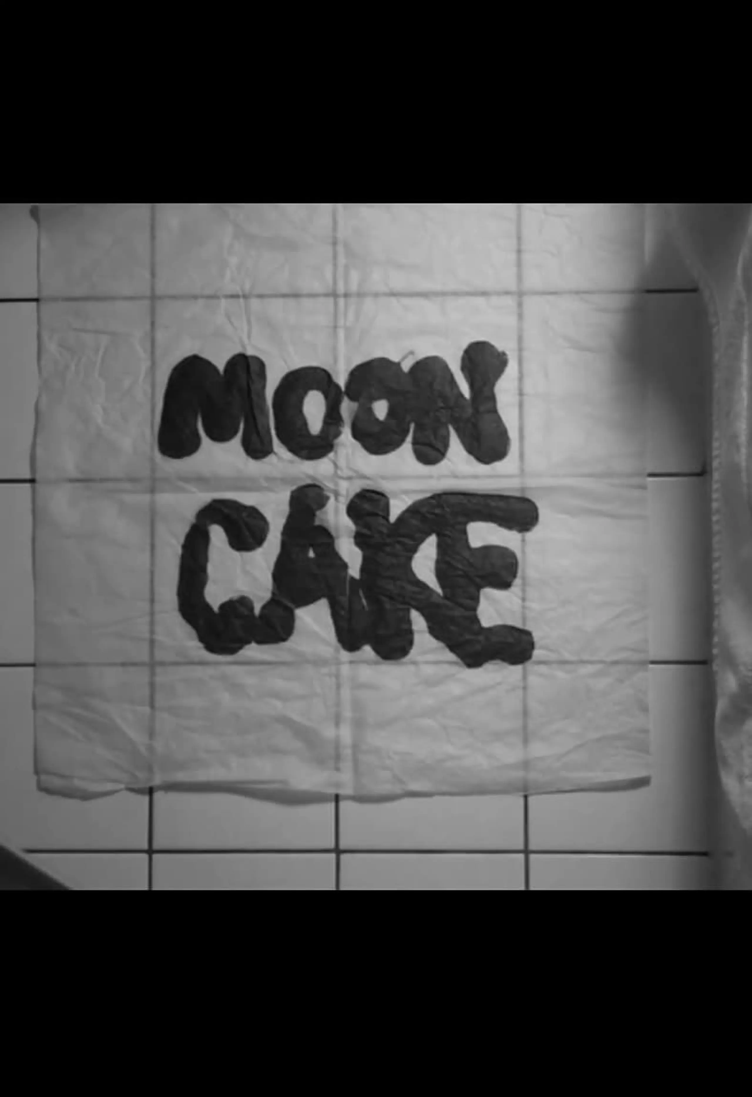 Moon Cake