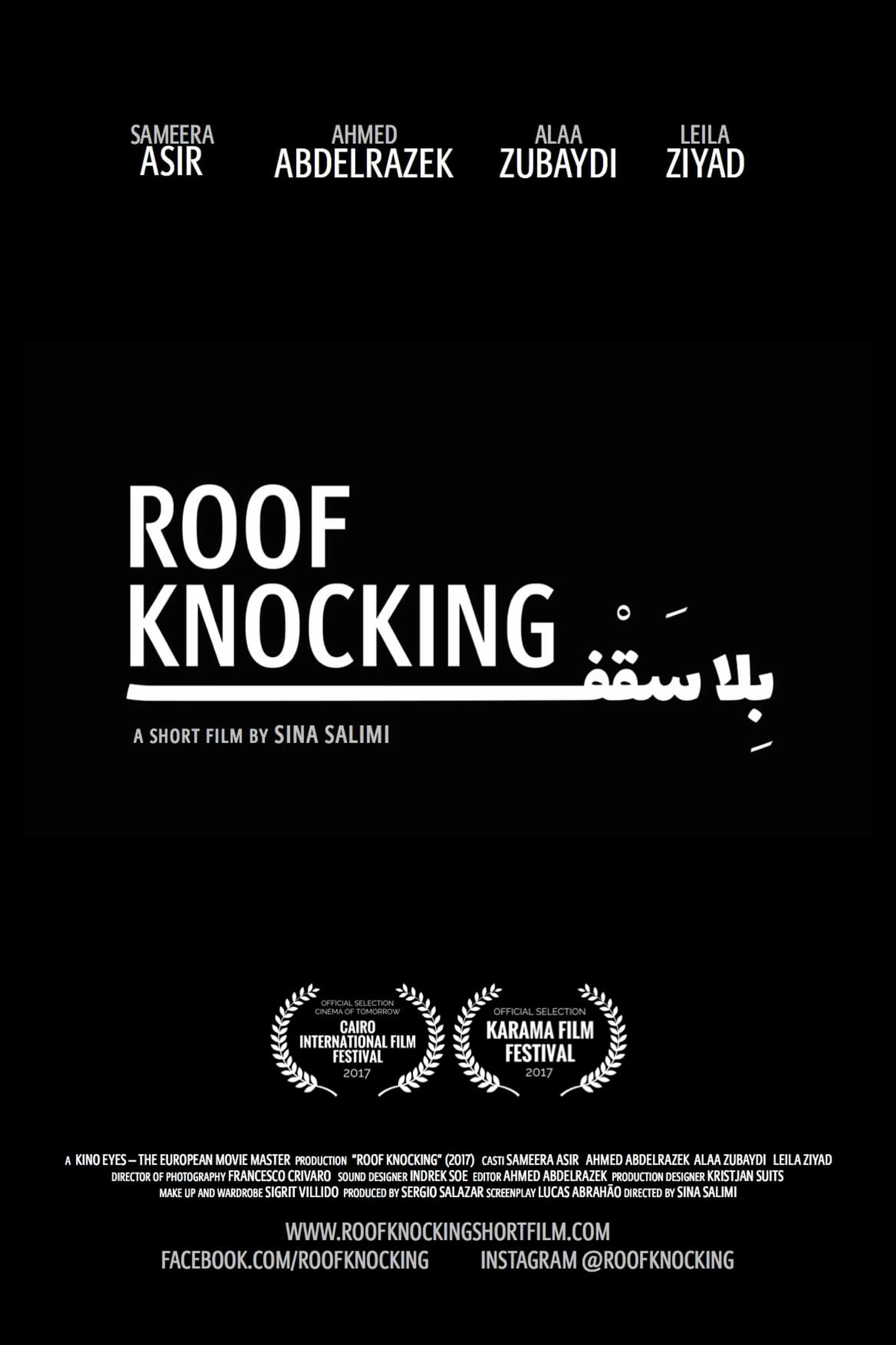 ‍‍Roof Knocking