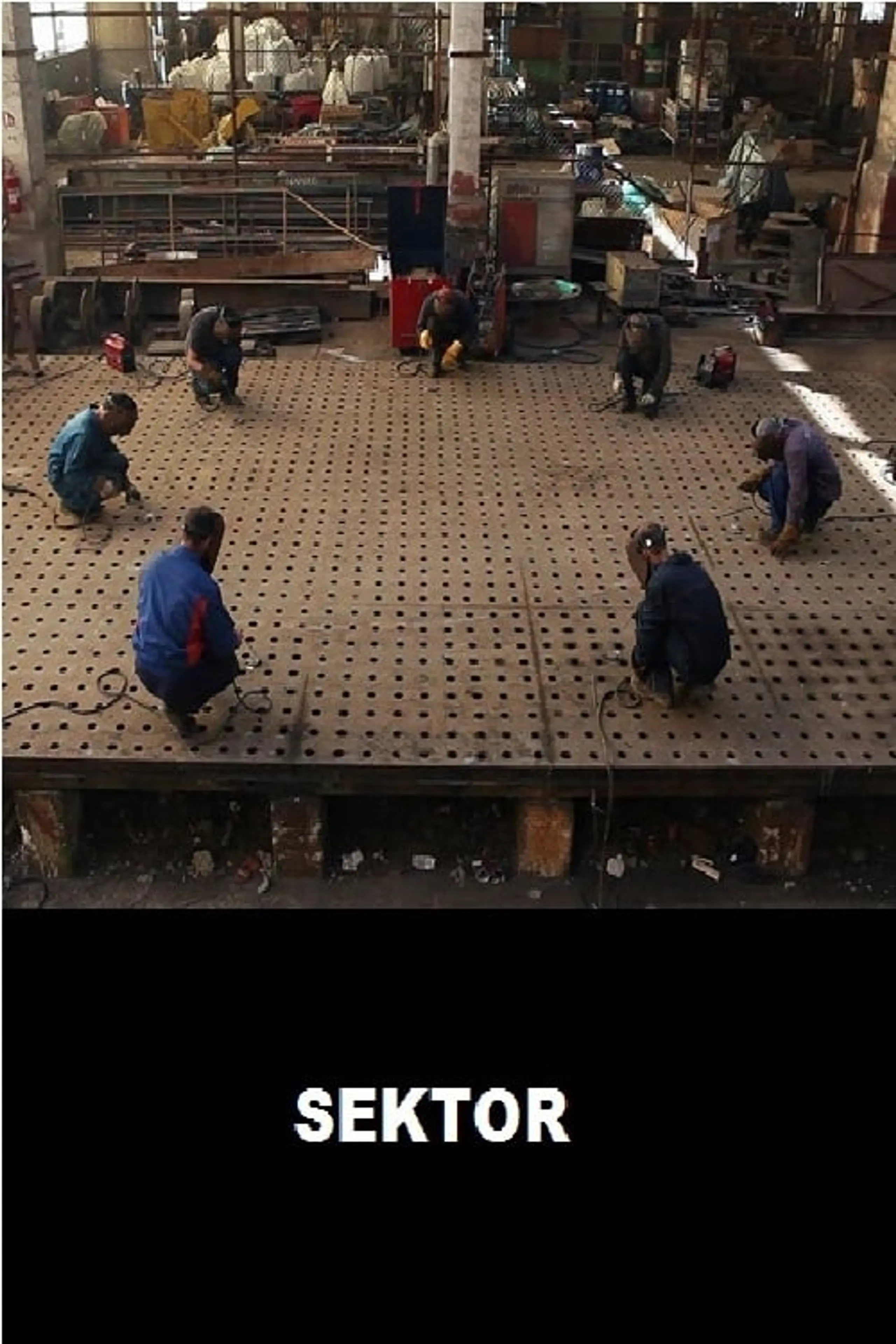 Sektor