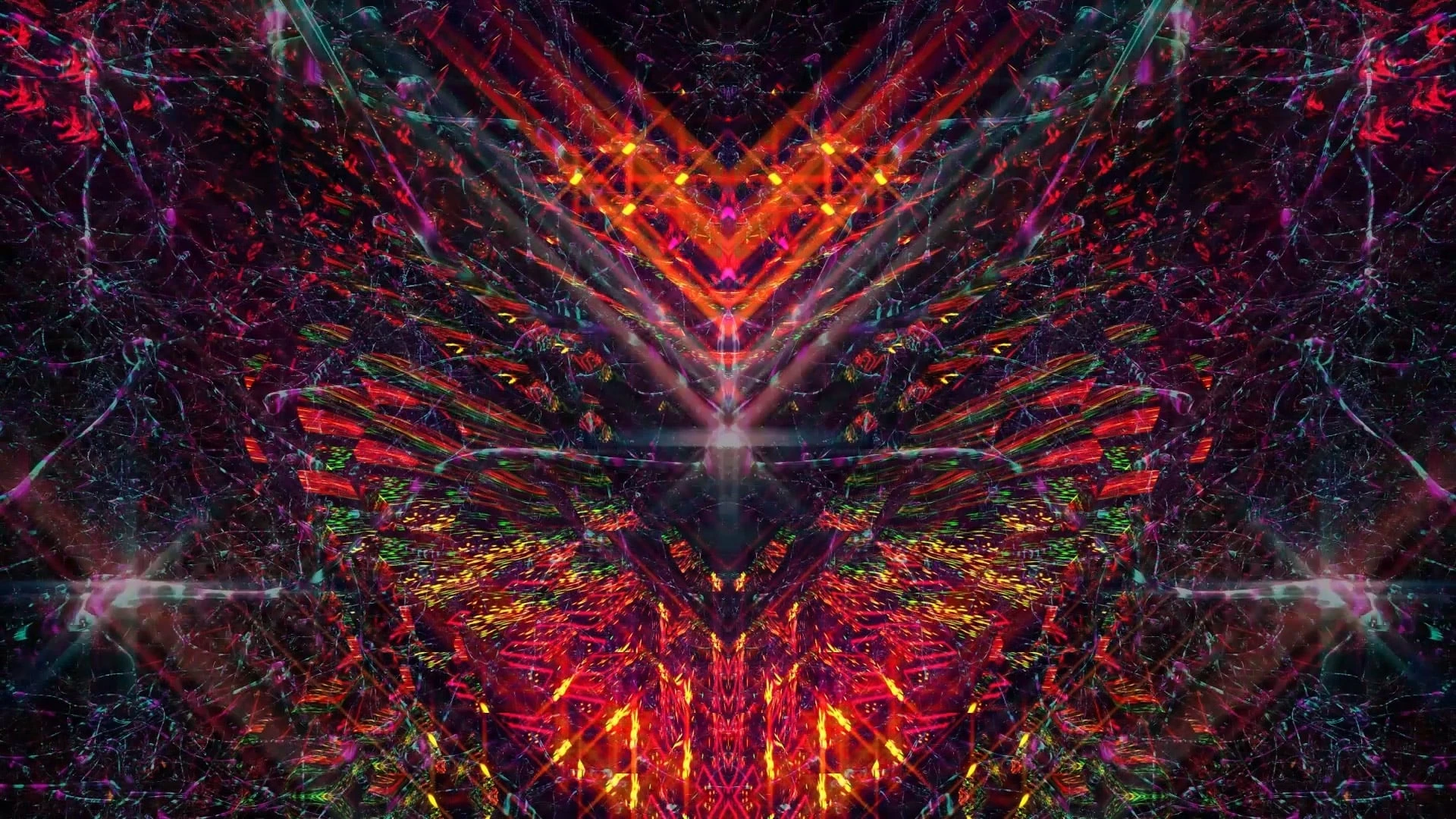 Bufo Alvarius – The Underground Secret