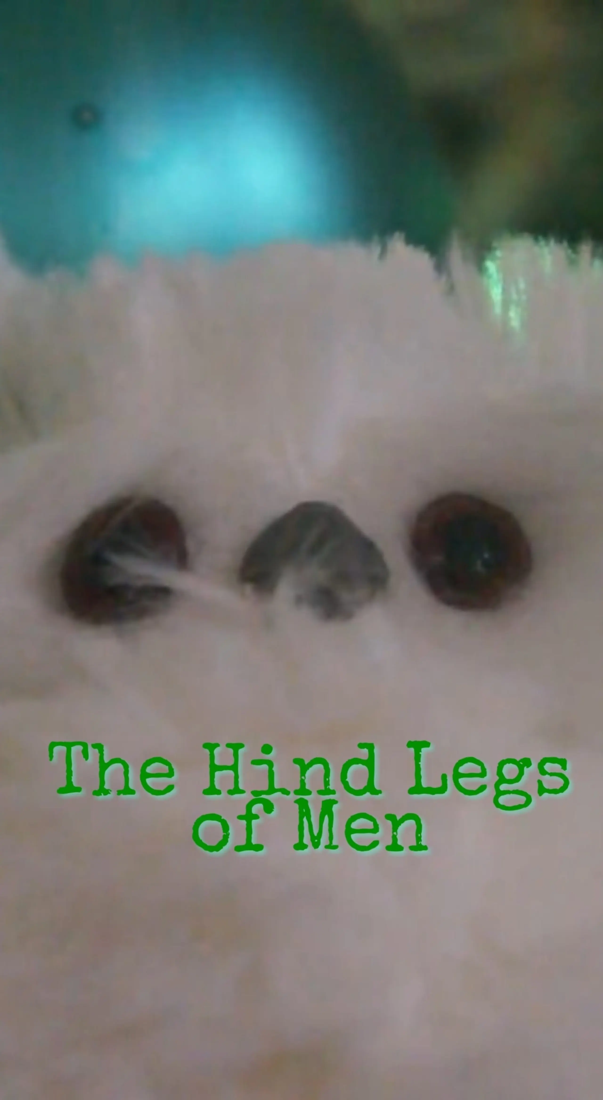 A Christmas Story: The Hind Legs of Men (Their Only Legs)