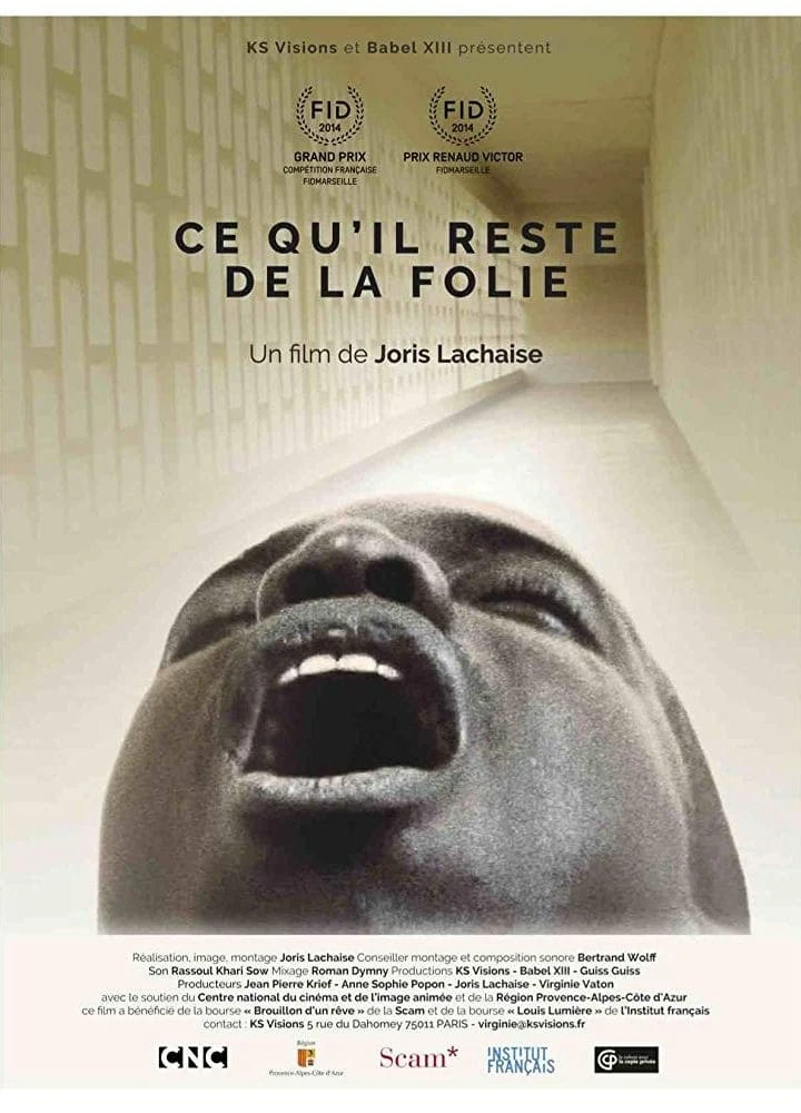 Ce qu'il reste de la folie