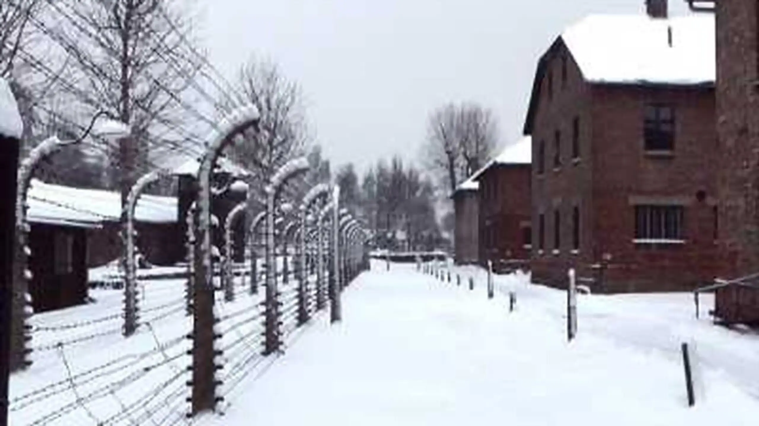 Copacabana - Auschwitz