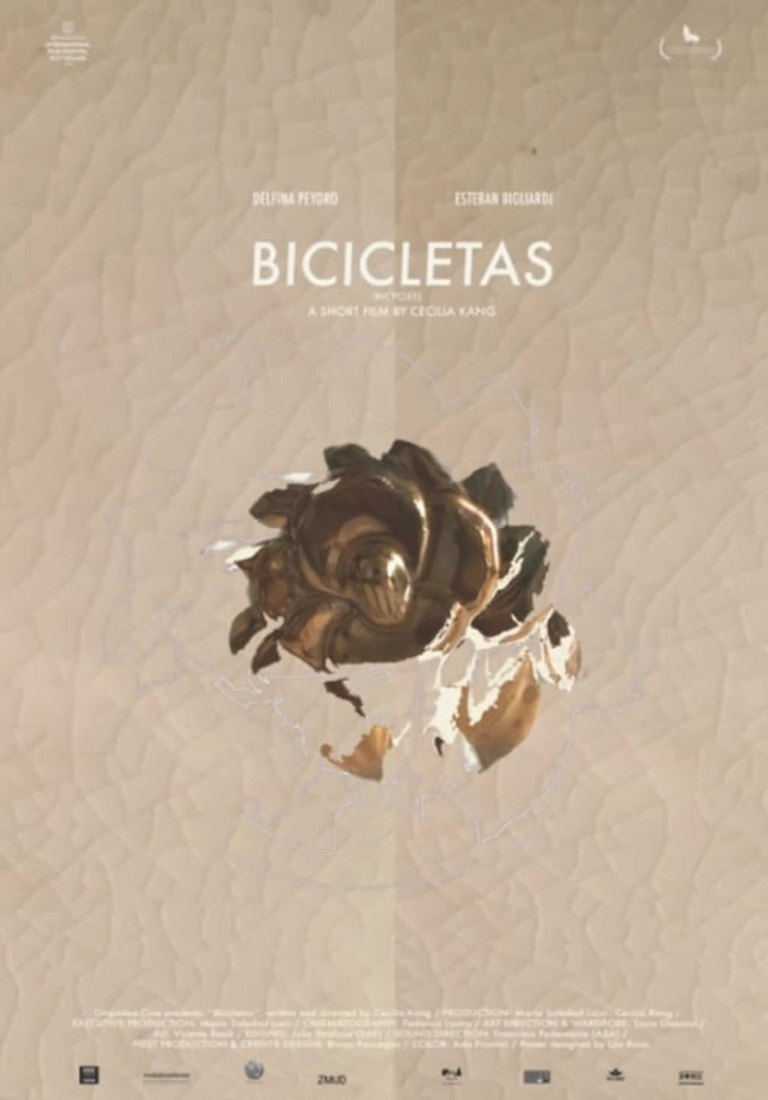 Bicicletas