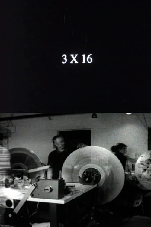 3 x 16