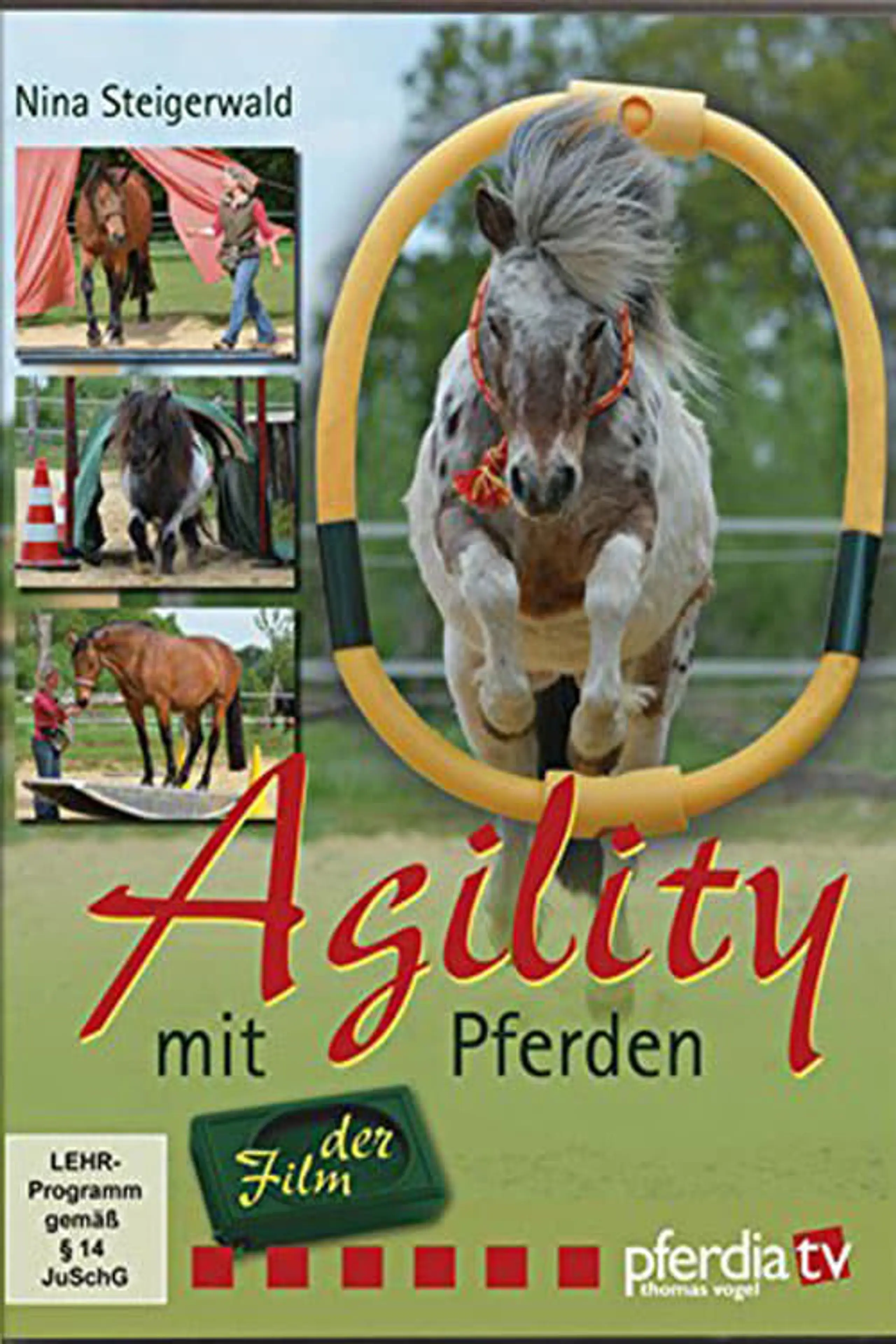 Agility mit Pferden