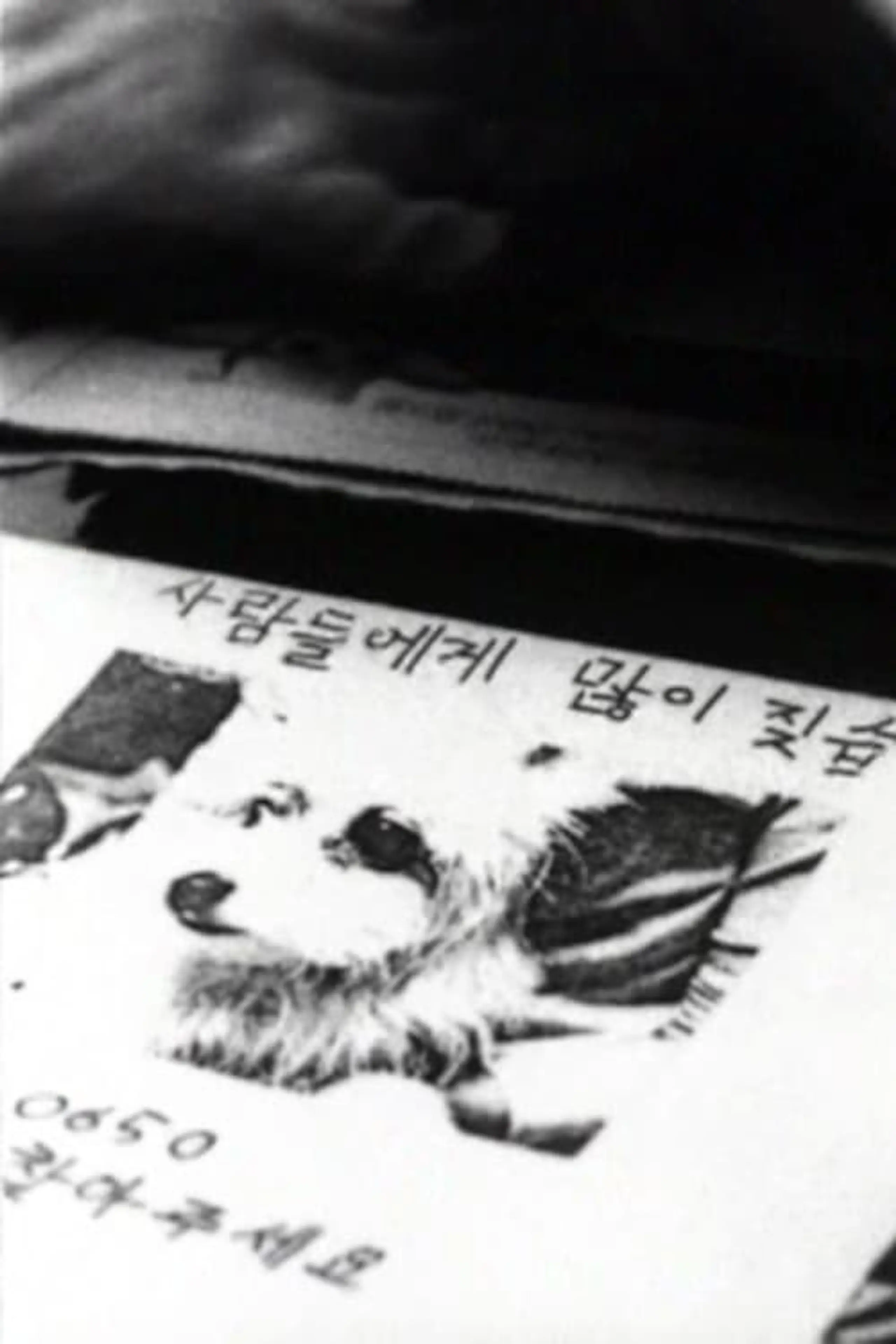 나무들이 봤어