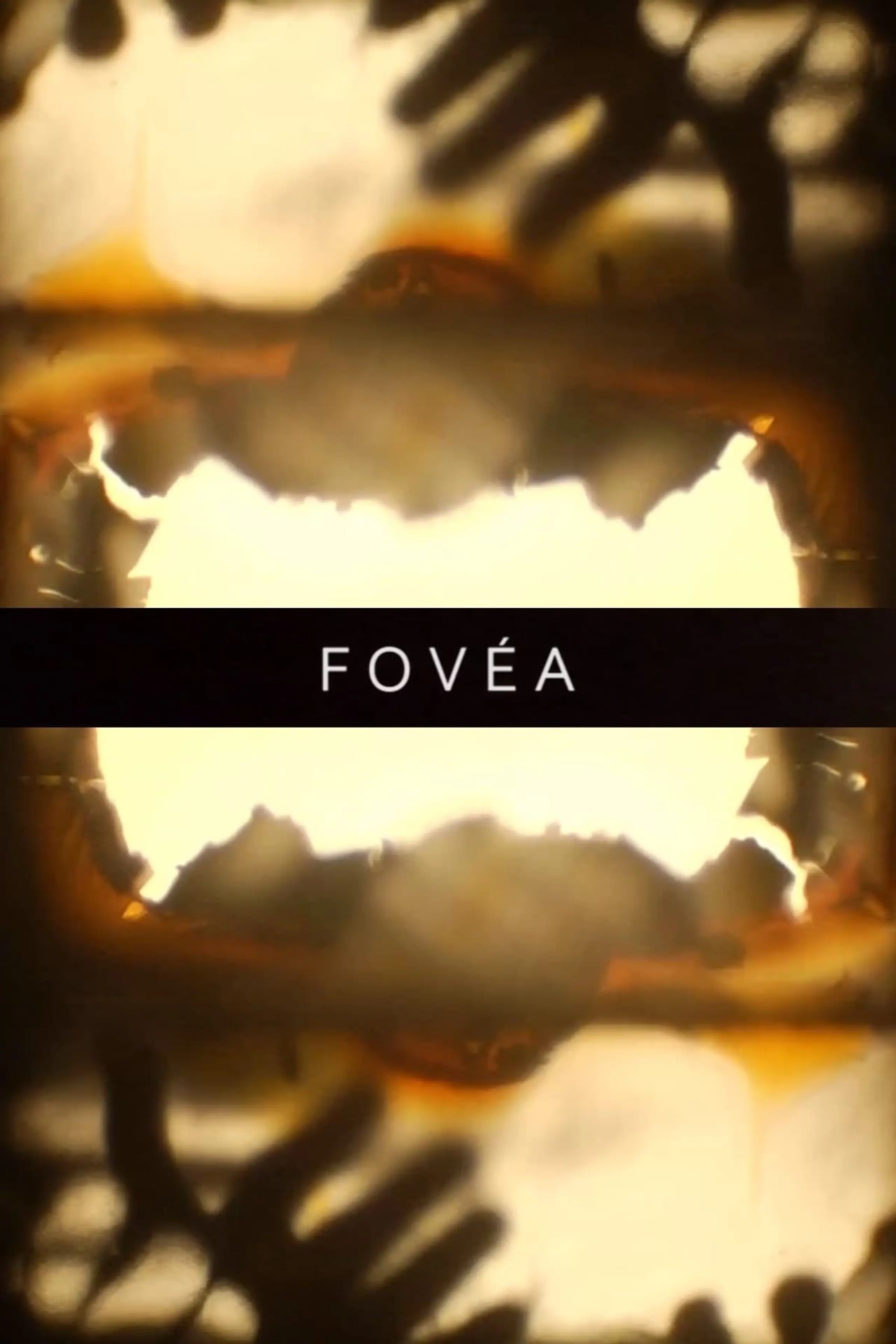 Fovéa