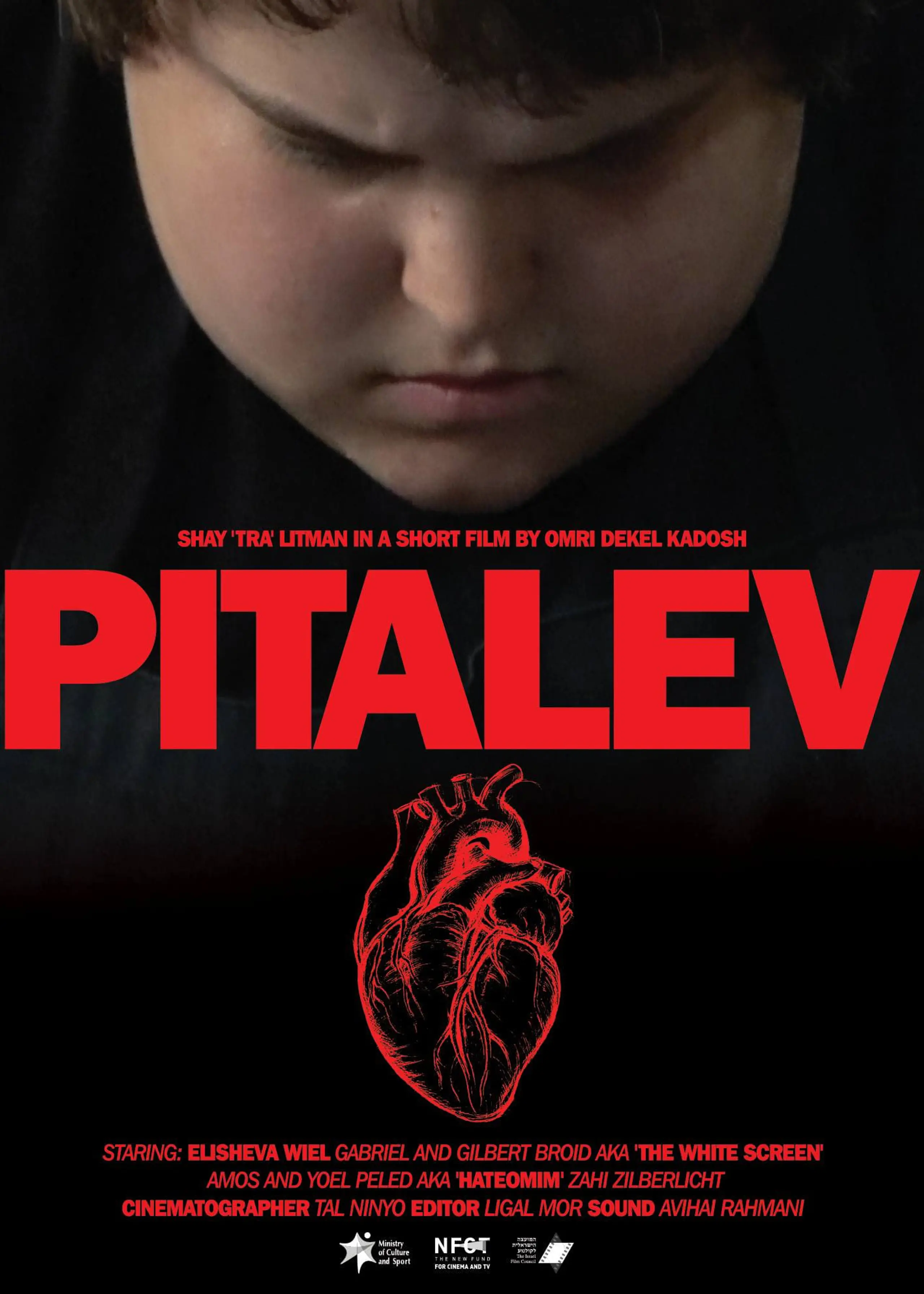 PITALEV