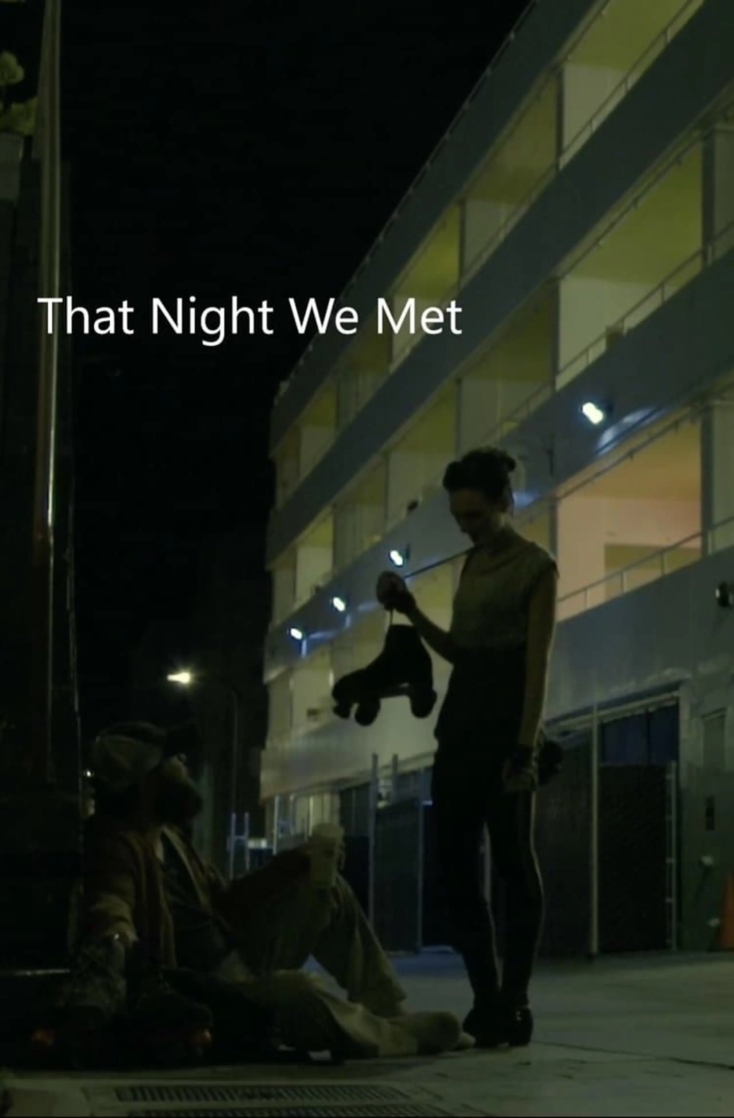 That Night we Met