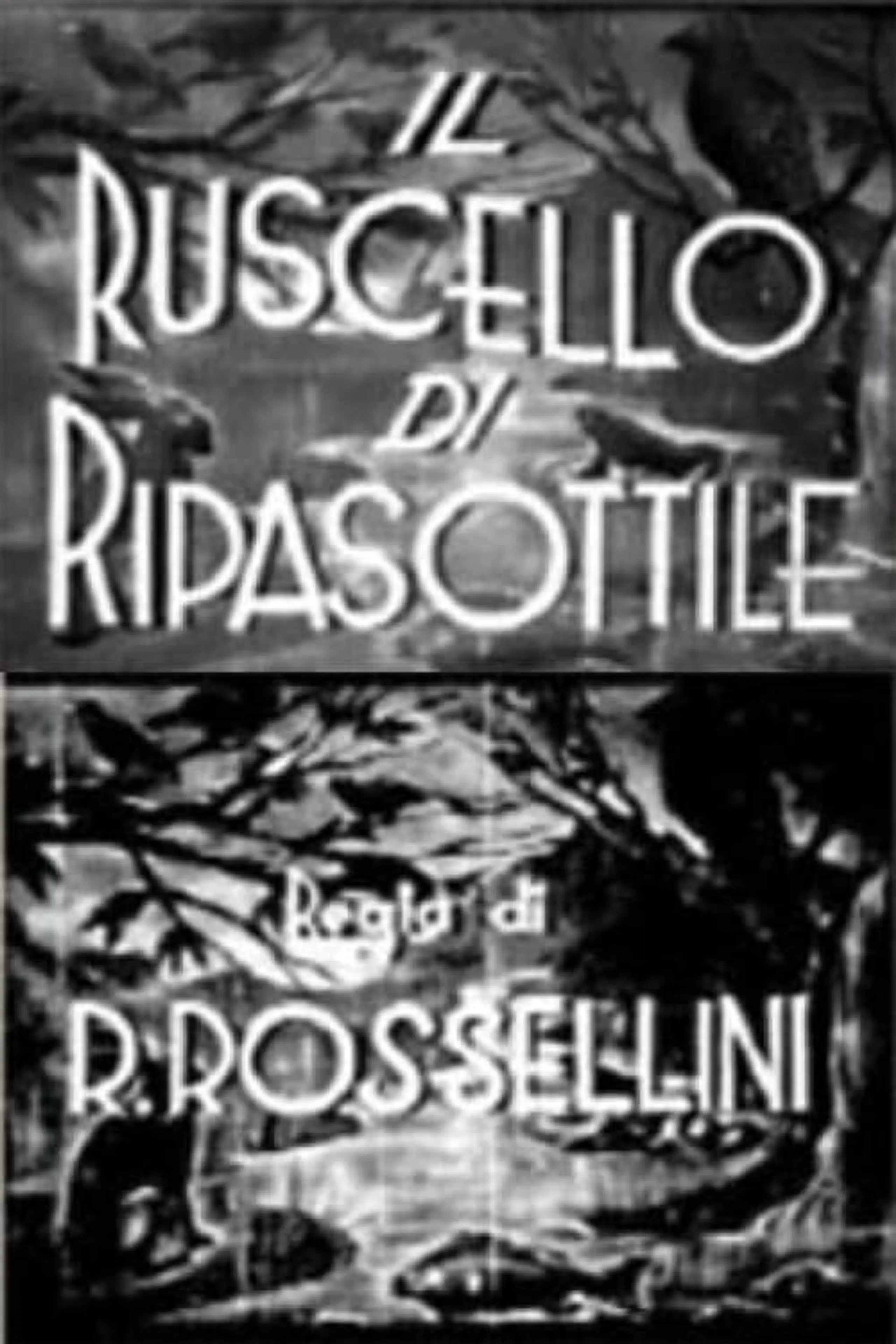 Il ruscello di Ripasottile