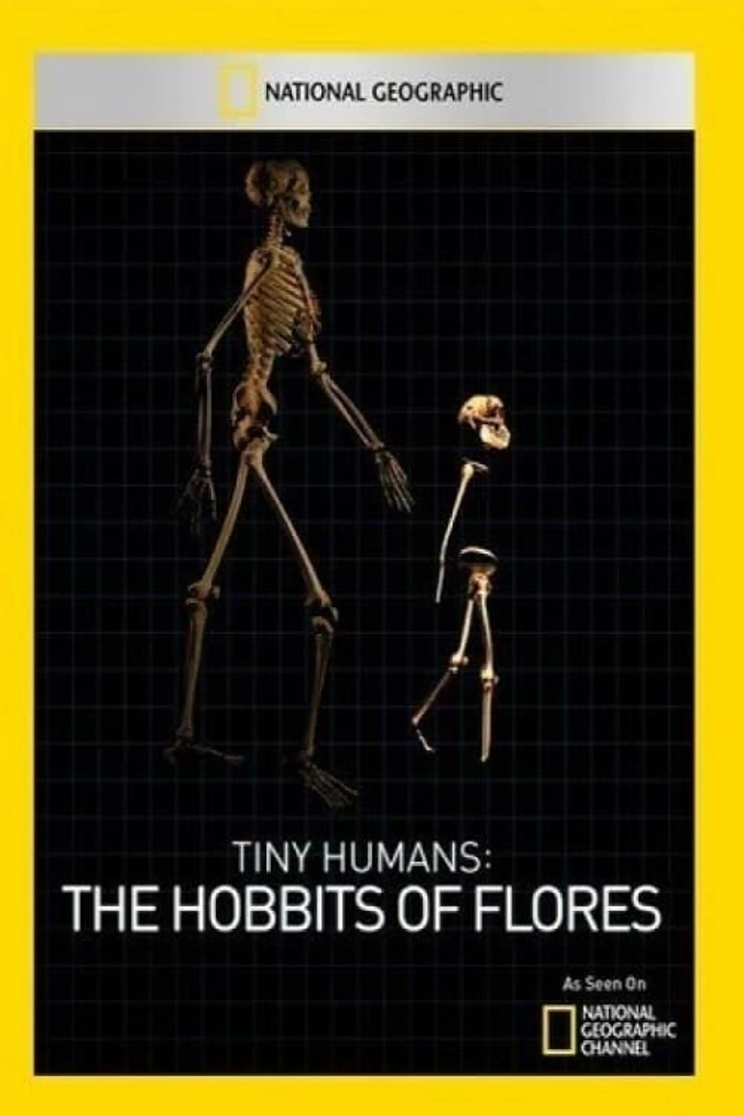 Tiny Humans: The Hobbit of Flores