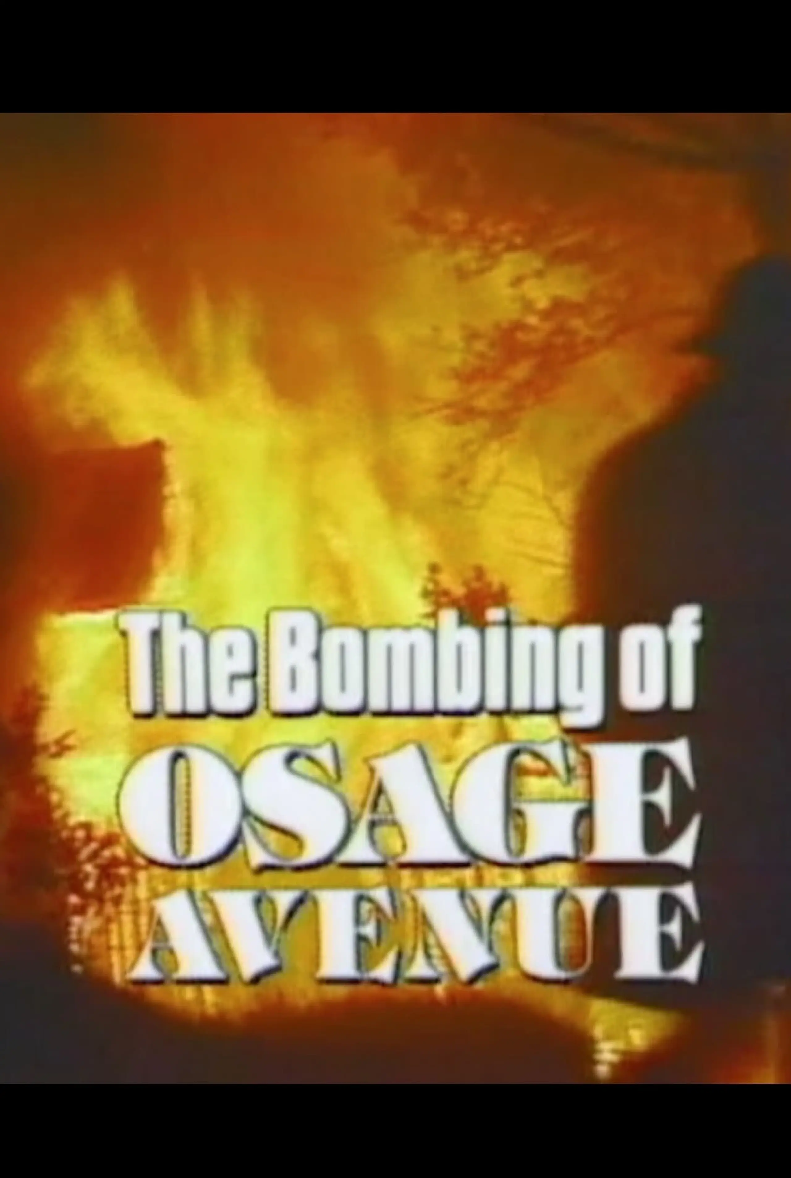 The Bombing of Osage Avenue