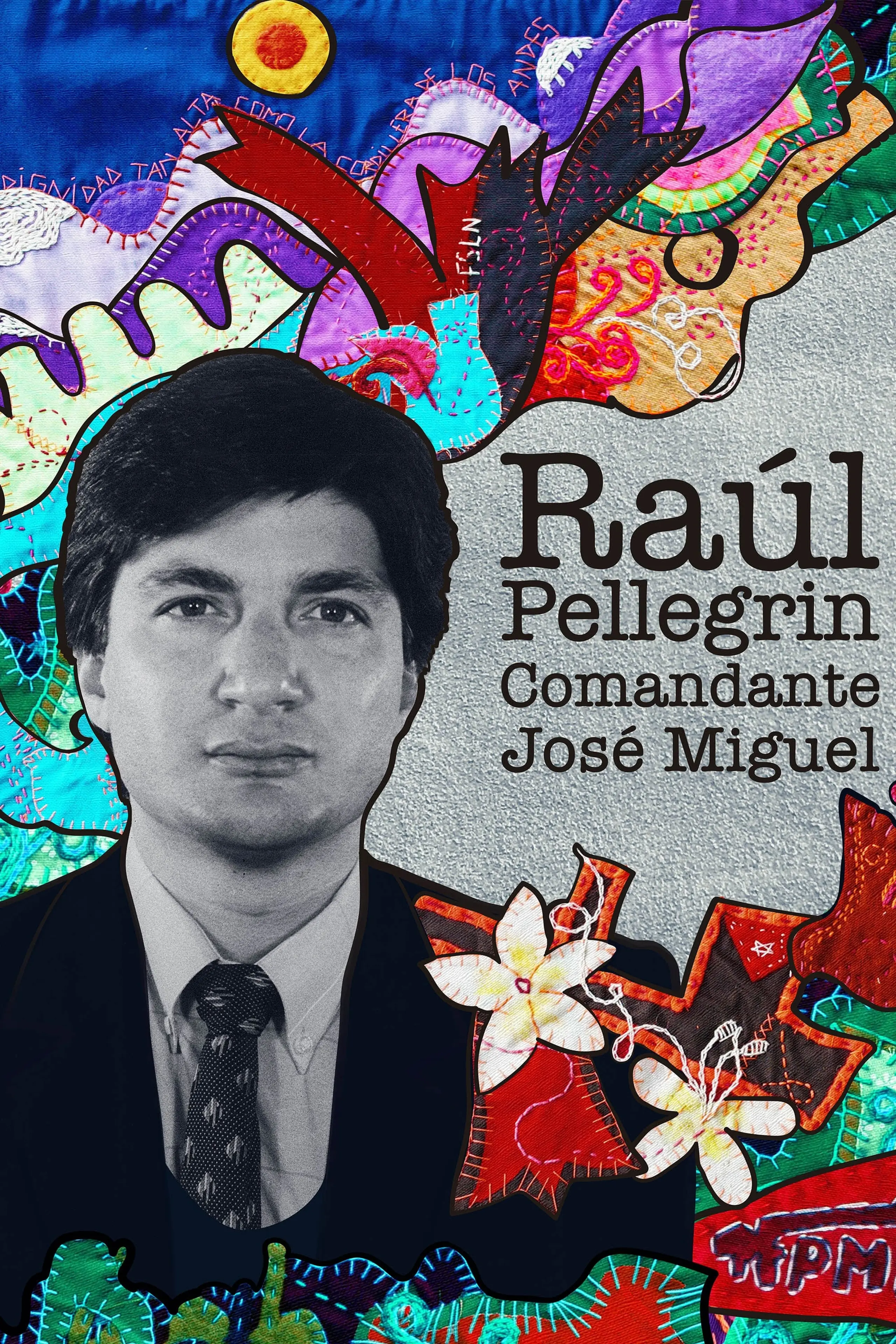 Raúl Pellegrin, Comandante José Miguel