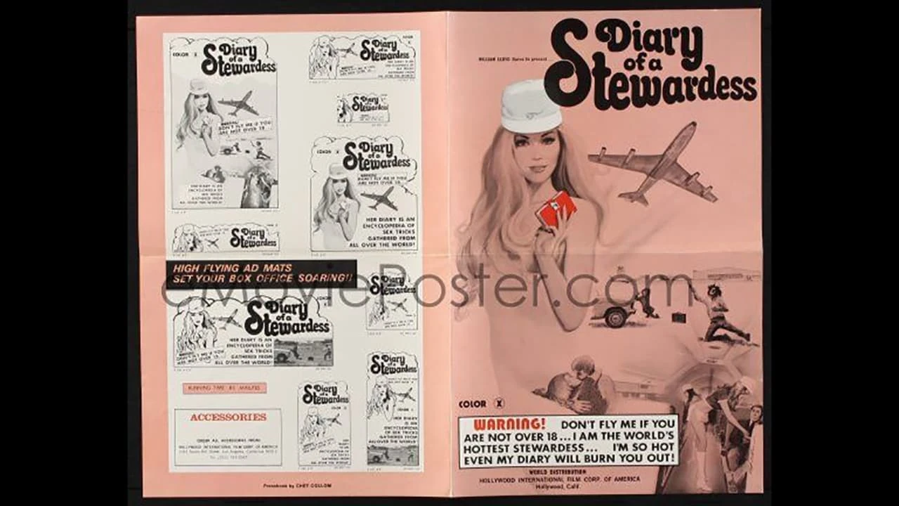 Diary of a Stewardess