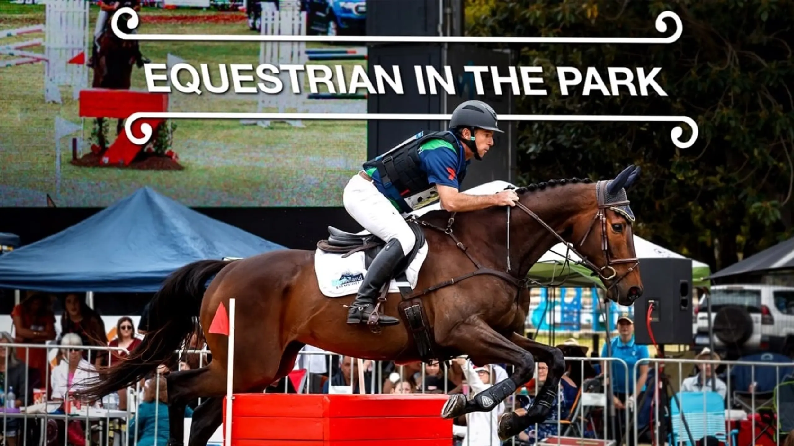 Equestrian In The Park